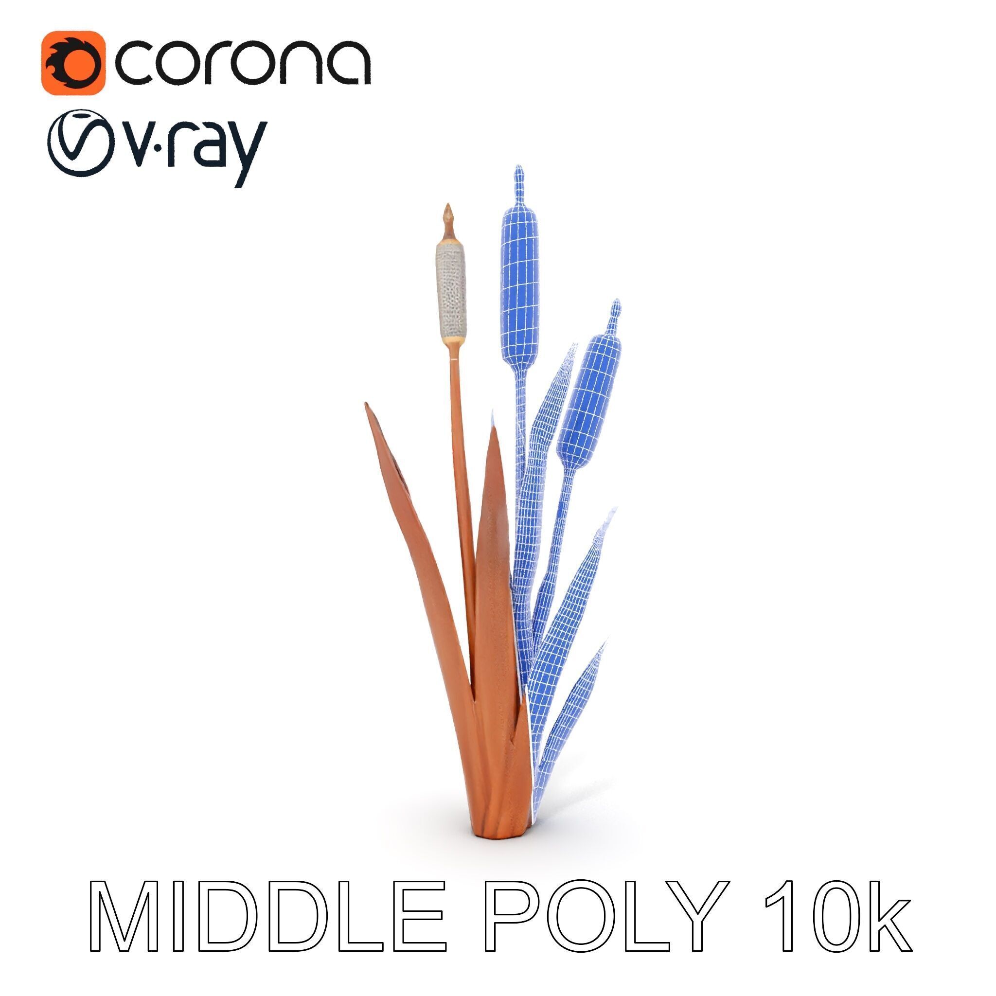 Cattail Plant Model Pack for Environment Design Low-poly 3D model_30