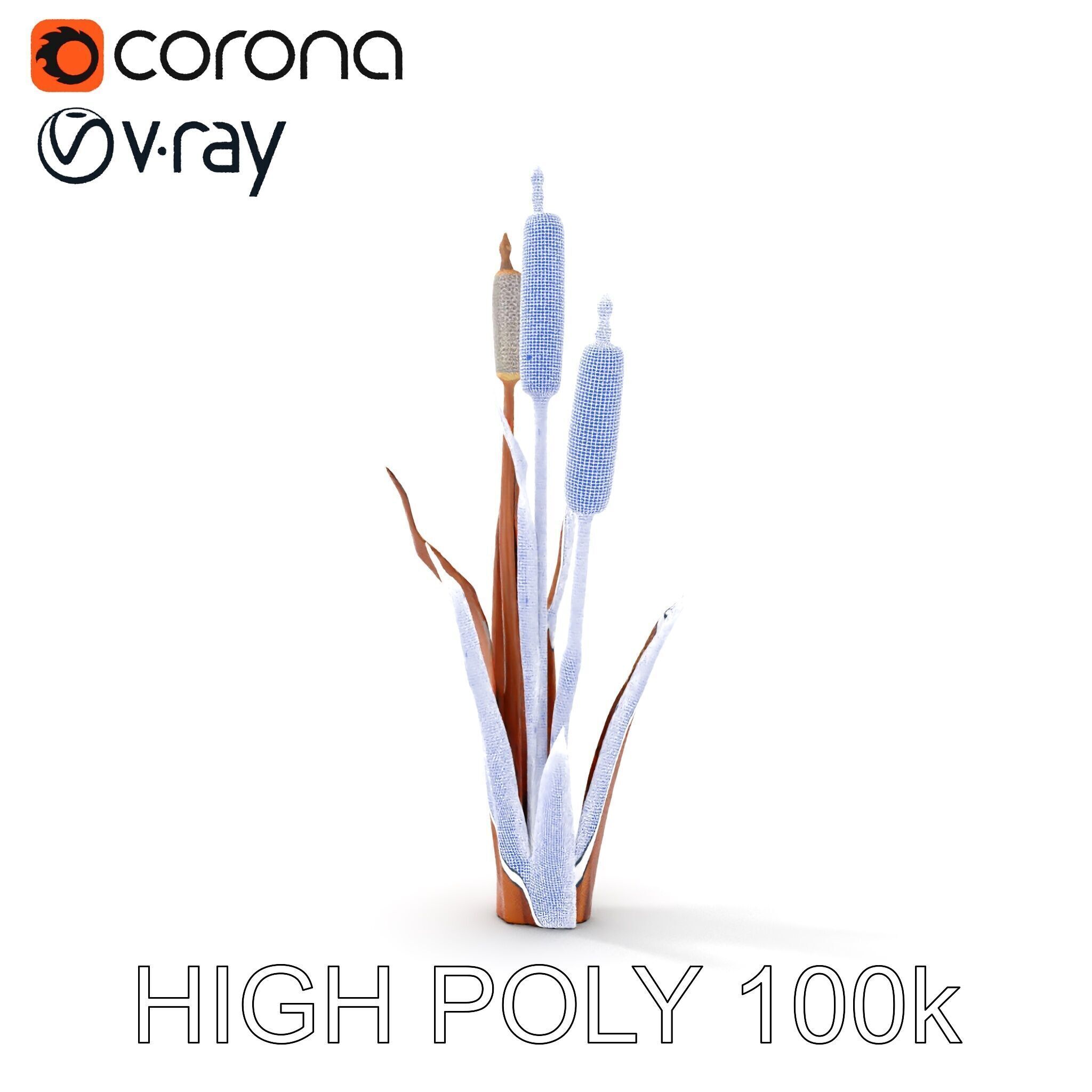 Cattail Plant Model Pack for Environment Design Low-poly 3D model_35
