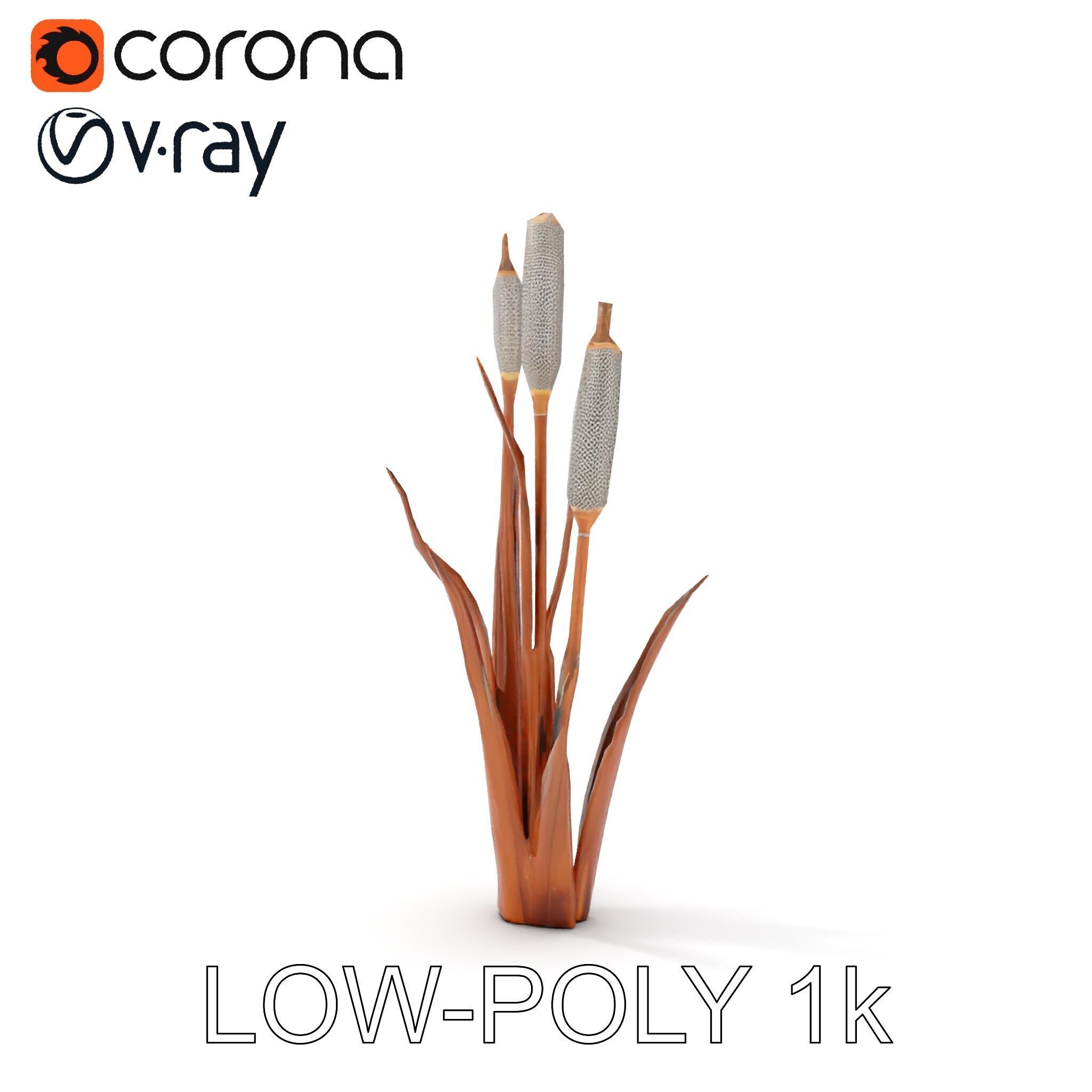 Cattail Plant Model Pack for Environment Design Low-poly 3D model_17