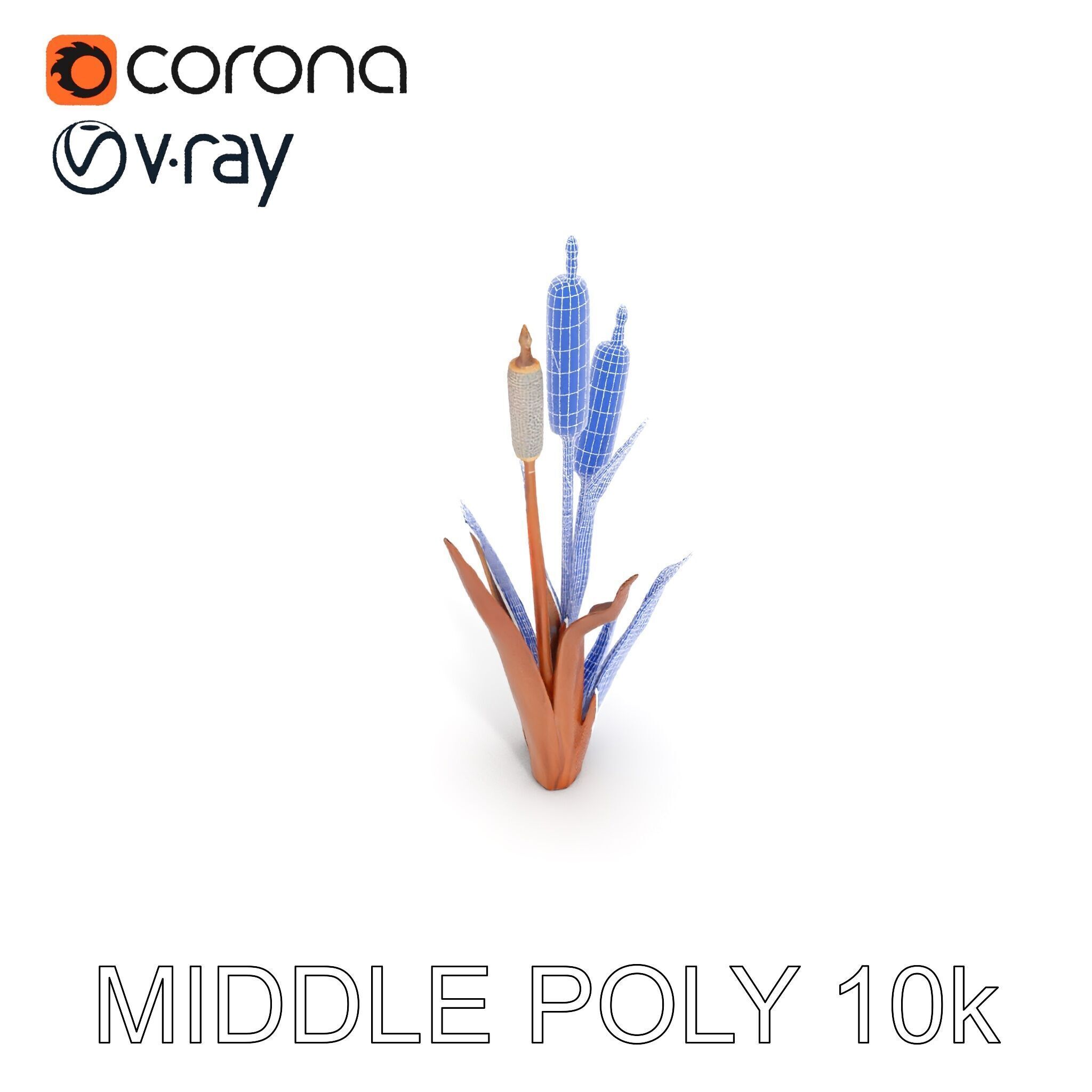 Cattail Plant Model Pack for Environment Design Low-poly 3D model_25