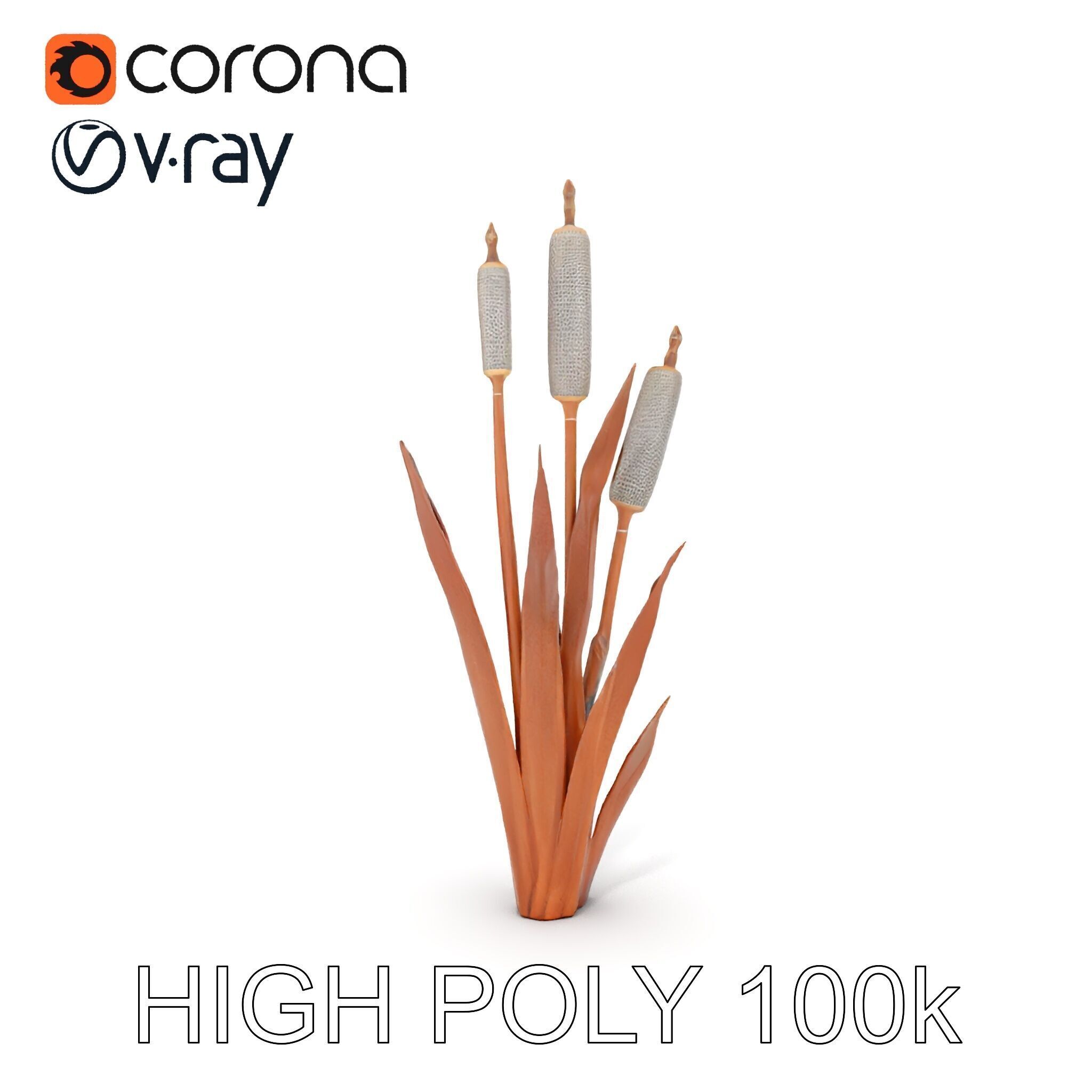Cattail Plant Model Pack for Environment Design Low-poly 3D model_12