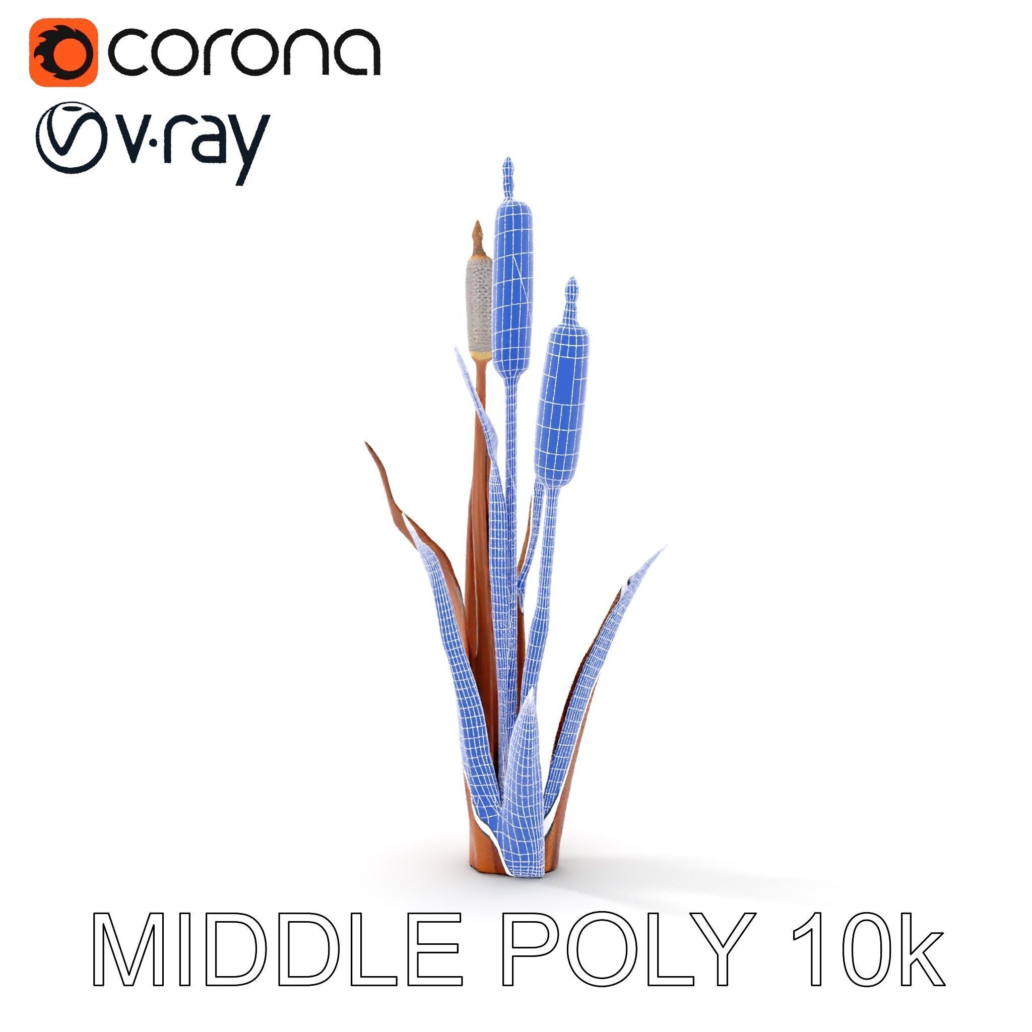 Cattail Plant Model Pack for Environment Design Low-poly 3D model_27