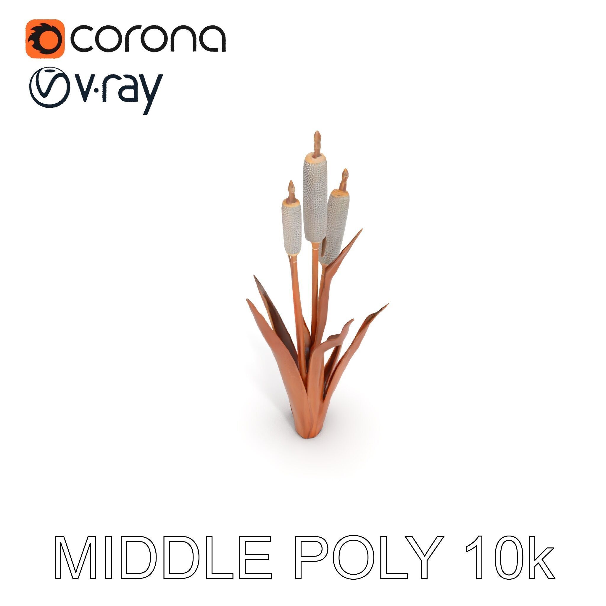 Cattail Plant Model Pack for Environment Design Low-poly 3D model_8