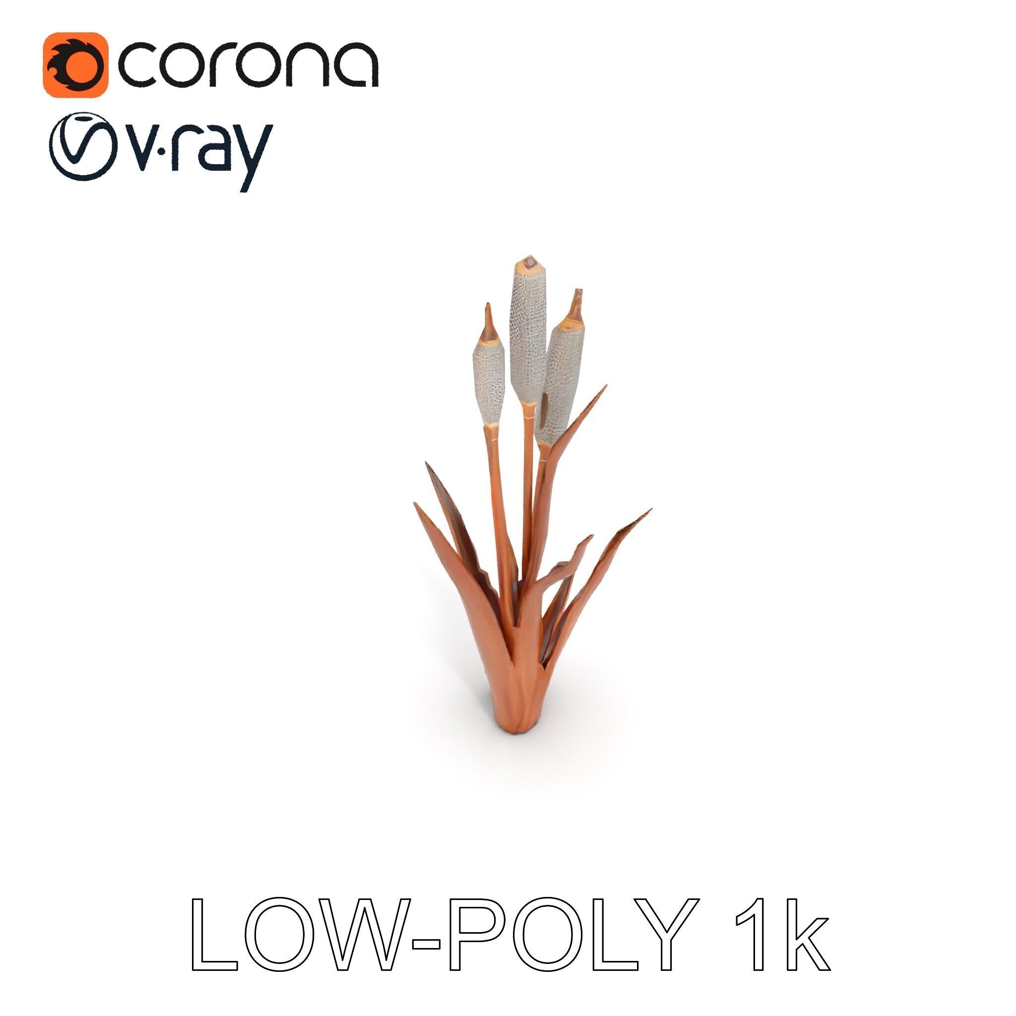Cattail Plant Model Pack for Environment Design Low-poly 3D model_11