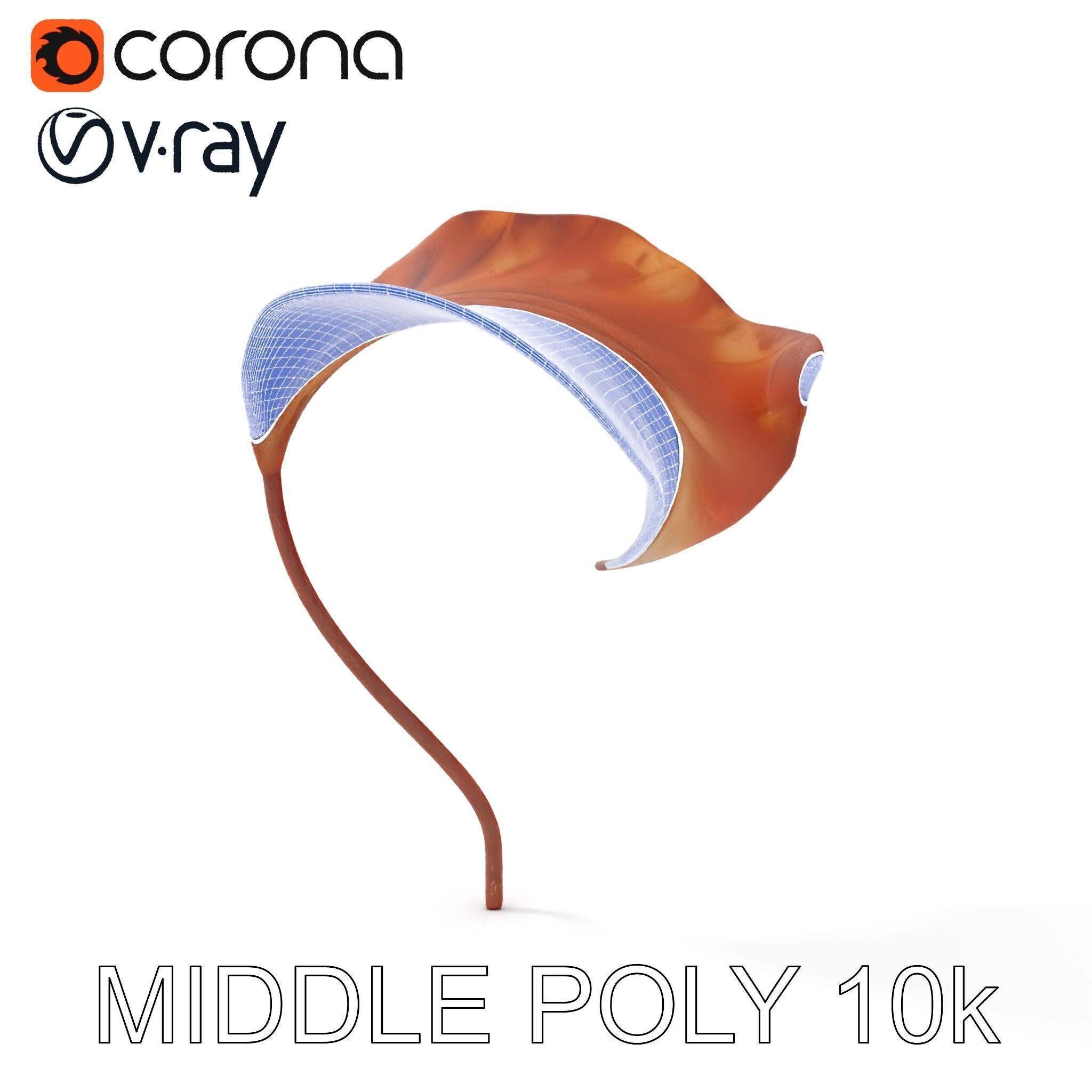 Elegant Dried Leaf Model Pack for Botanical Scenes Low-poly 3D model_25