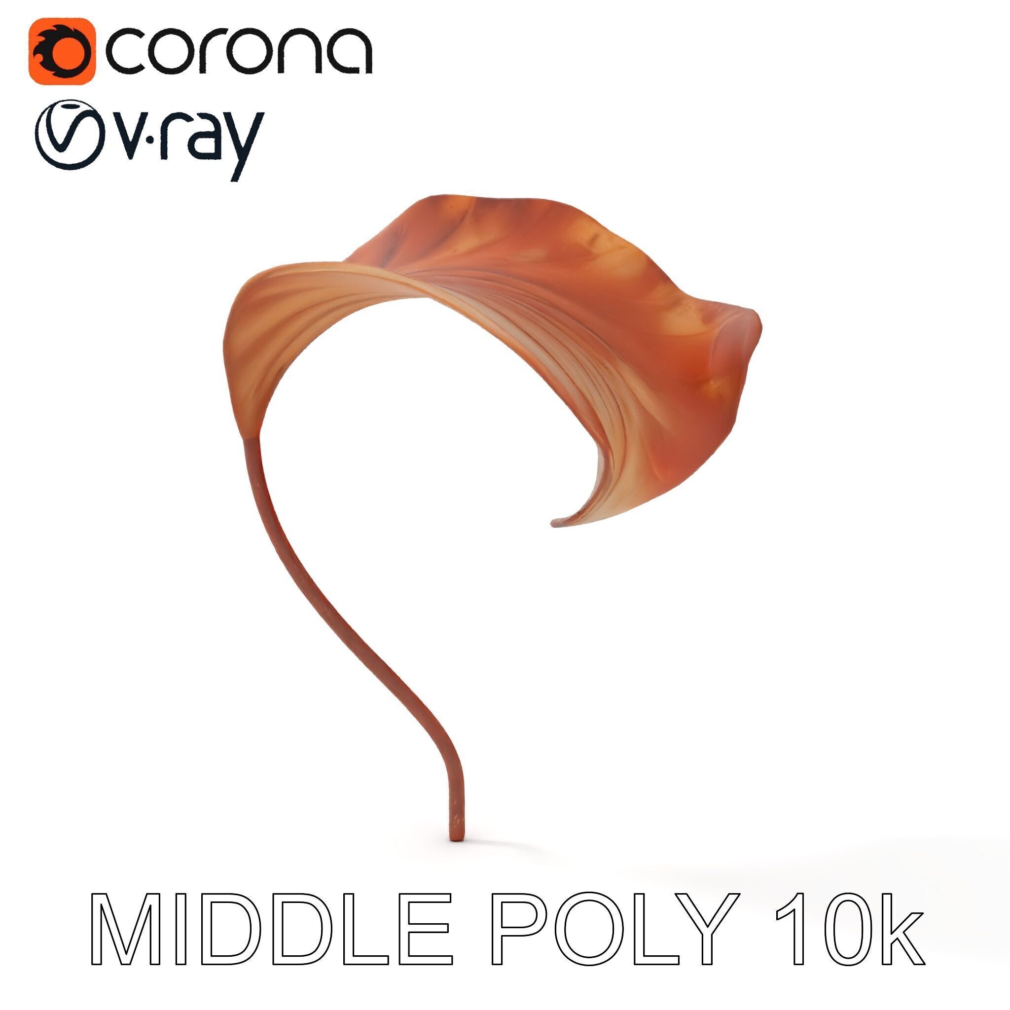 Elegant Dried Leaf Model Pack for Botanical Scenes Low-poly 3D model_14