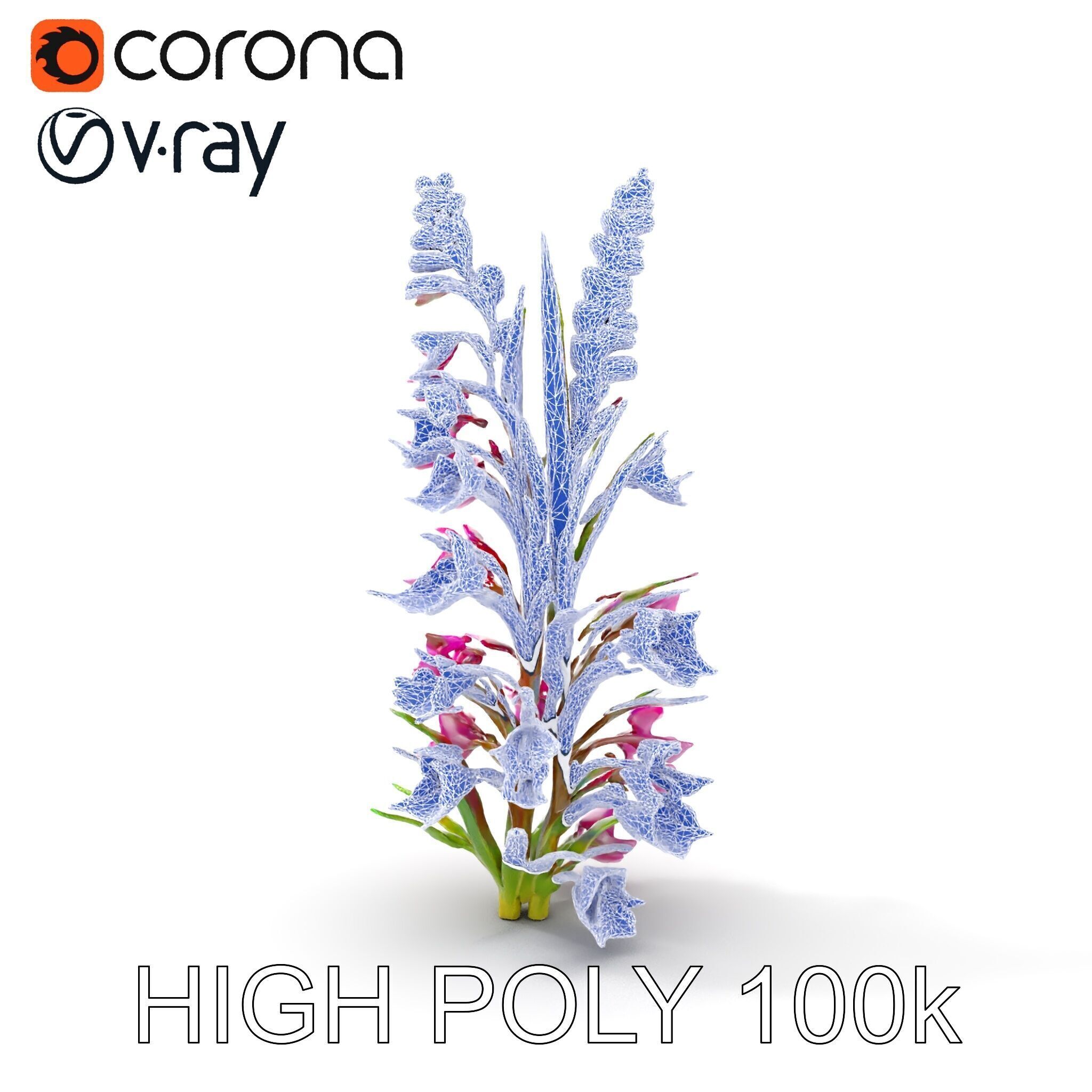 Realistic Wildflower Model Pack Low-poly 3D model_25