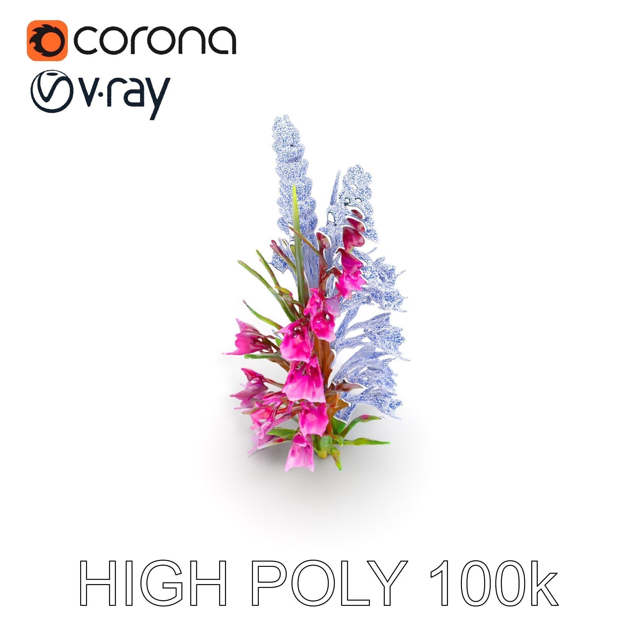 Realistic Wildflower Model Pack Low-poly 3D model_18
