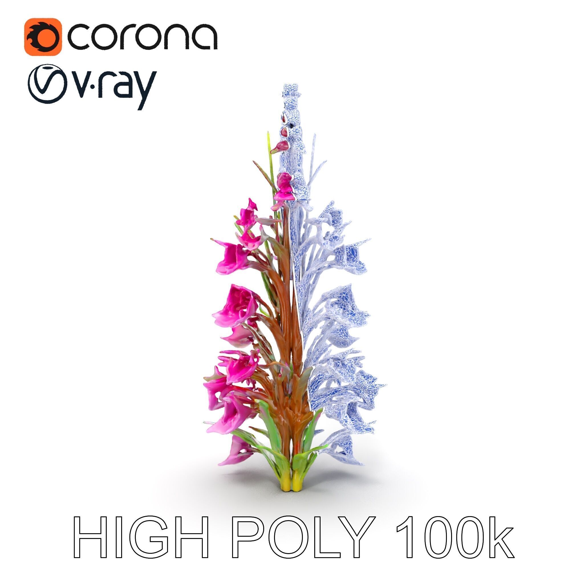 Realistic Wildflower Model Pack Low-poly 3D model_33