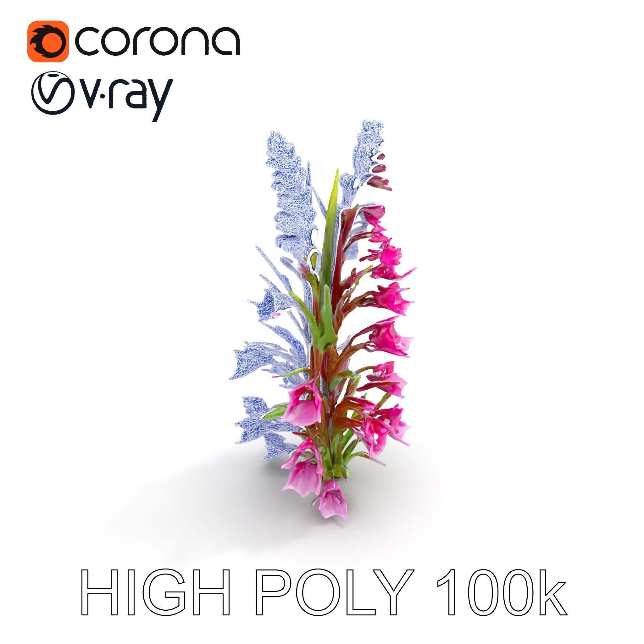 Realistic Wildflower Model Pack Low-poly 3D model_21