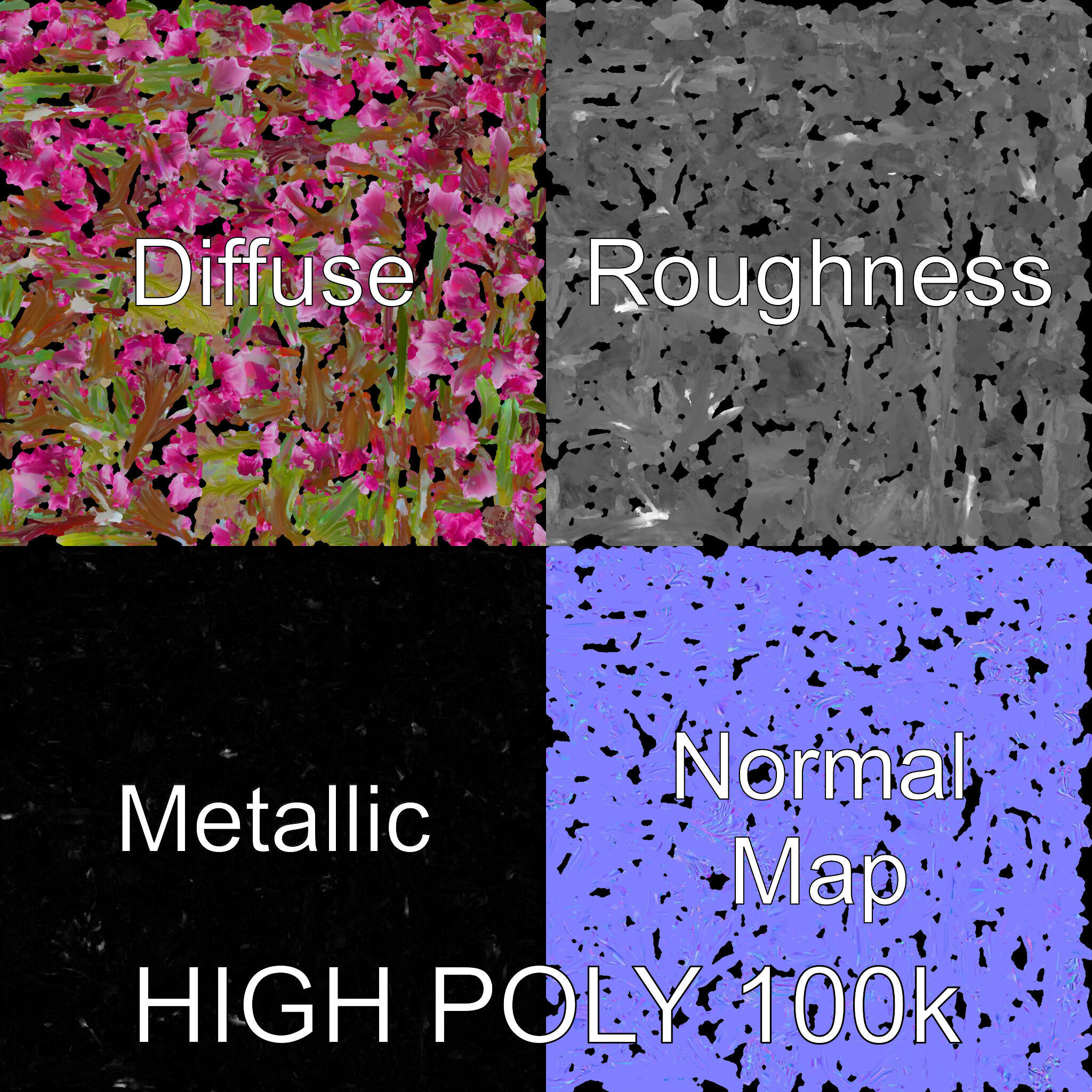 Realistic Wildflower Model Pack Low-poly 3D model_4