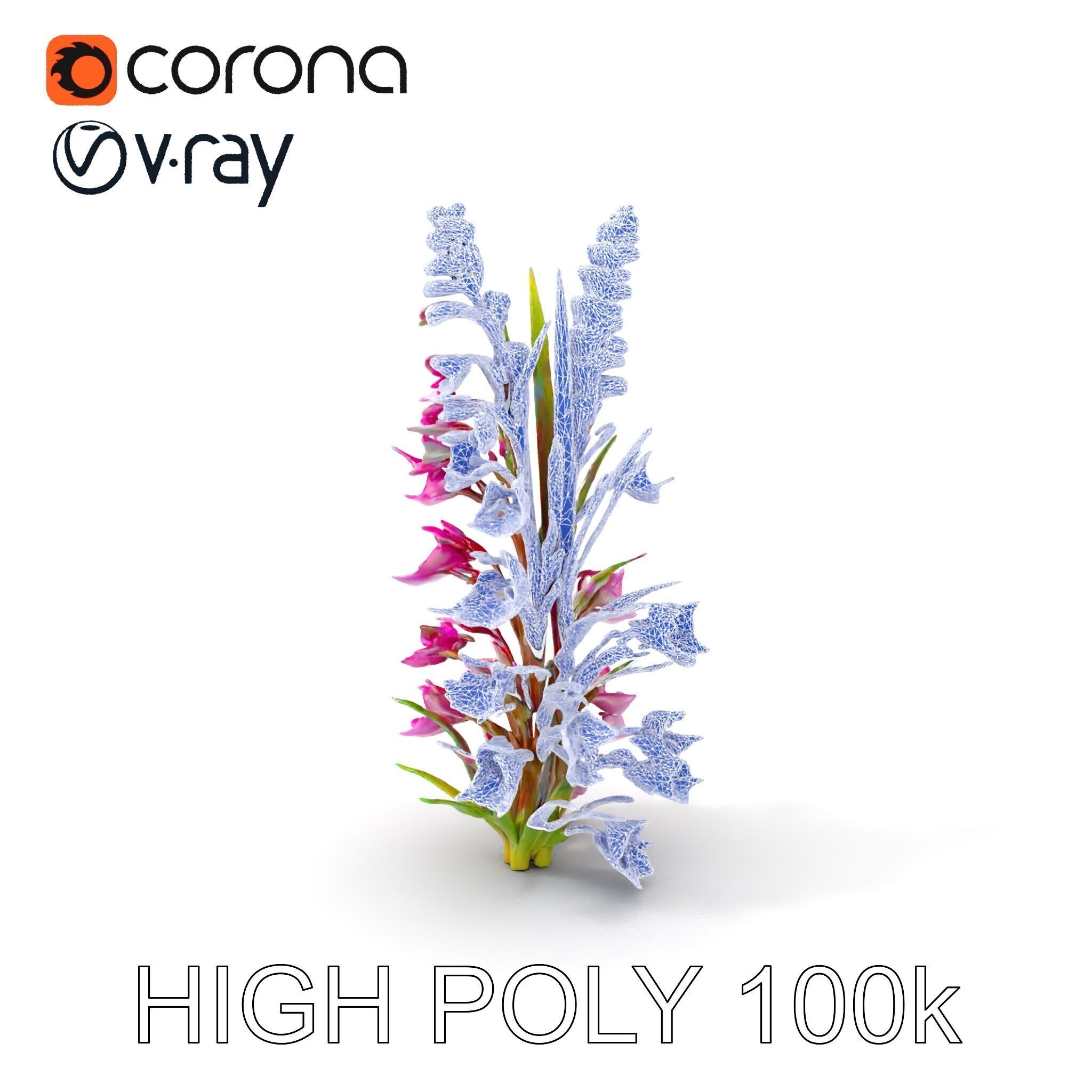 Realistic Wildflower Model Pack Low-poly 3D model_27