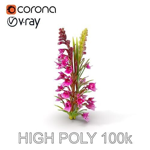 Realistic Wildflower Model Pack Low-poly 3D model