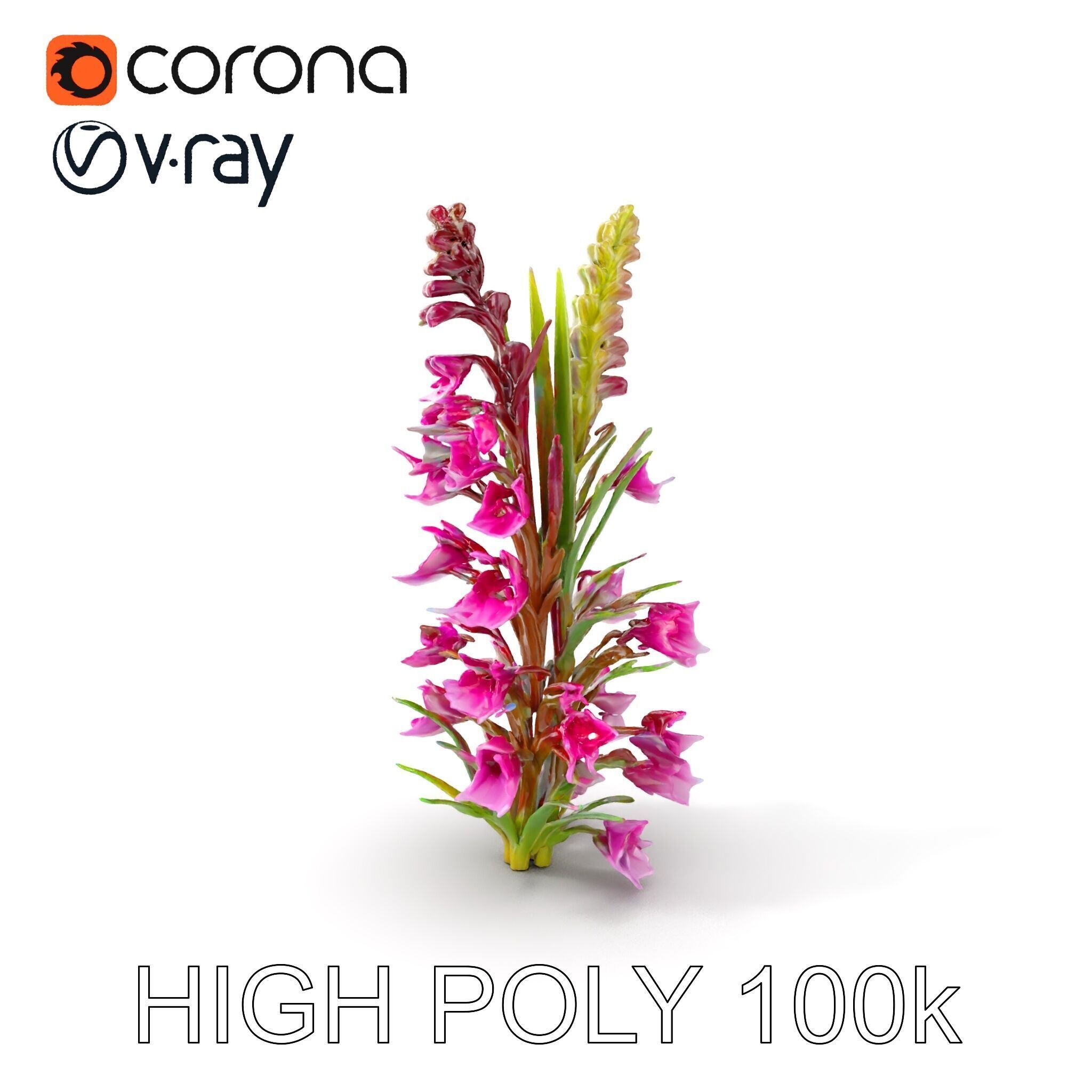 Realistic Wildflower Model Pack Low-poly 3D model_7