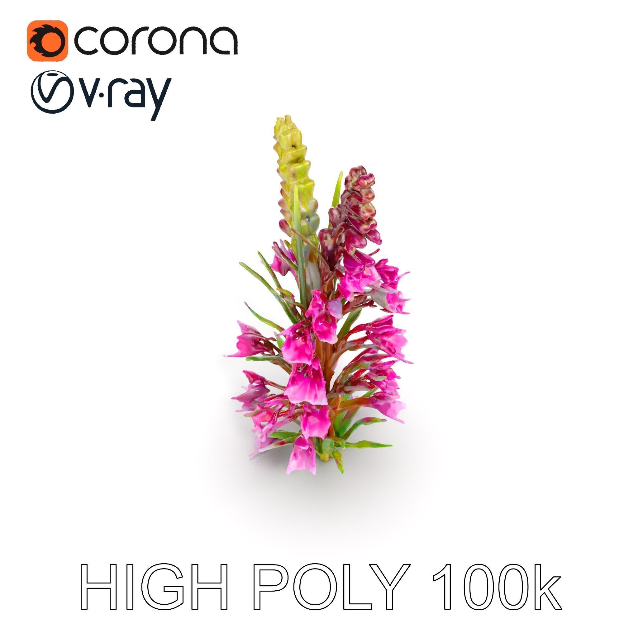 Realistic Wildflower Model Pack Low-poly 3D model_20