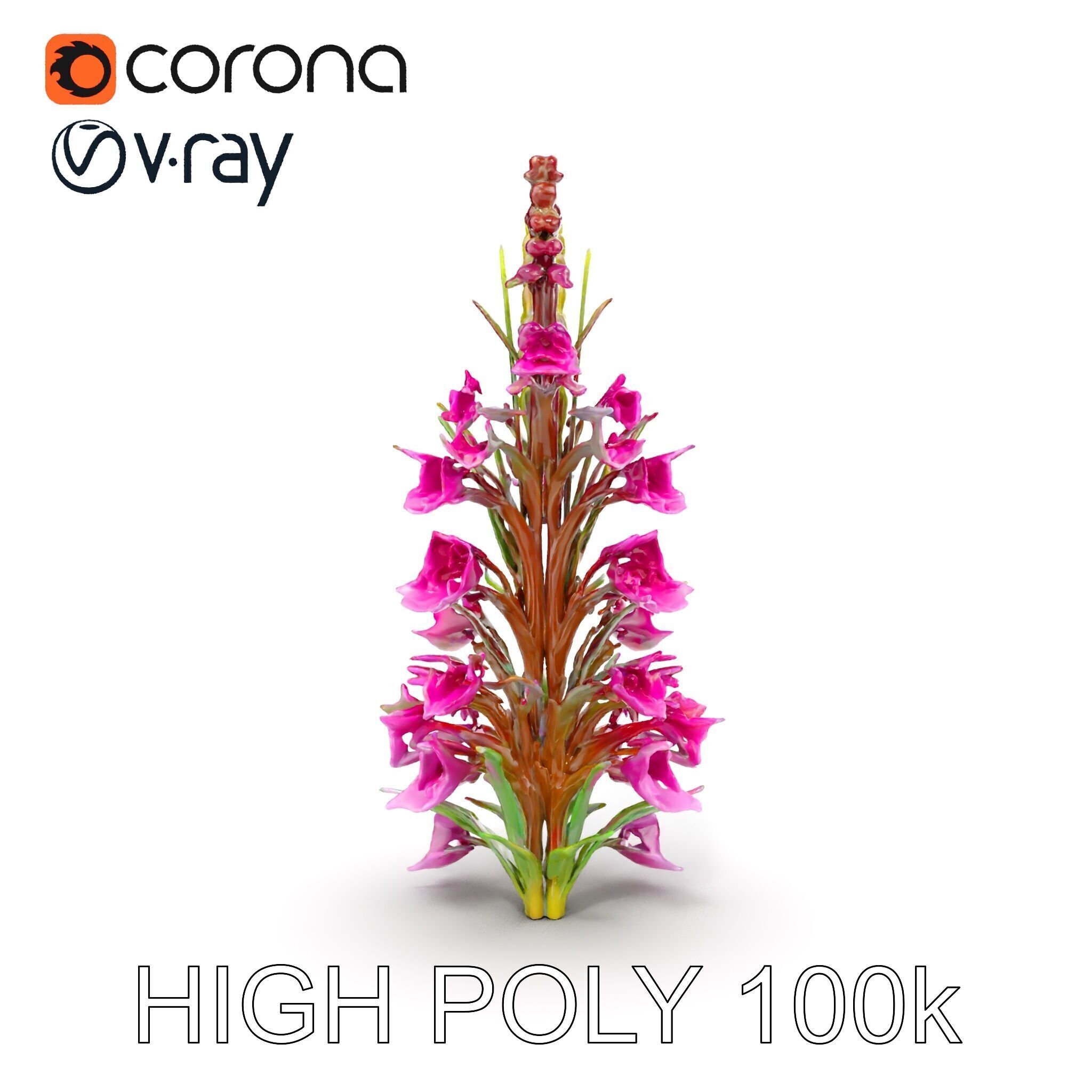 Realistic Wildflower Model Pack Low-poly 3D model_22