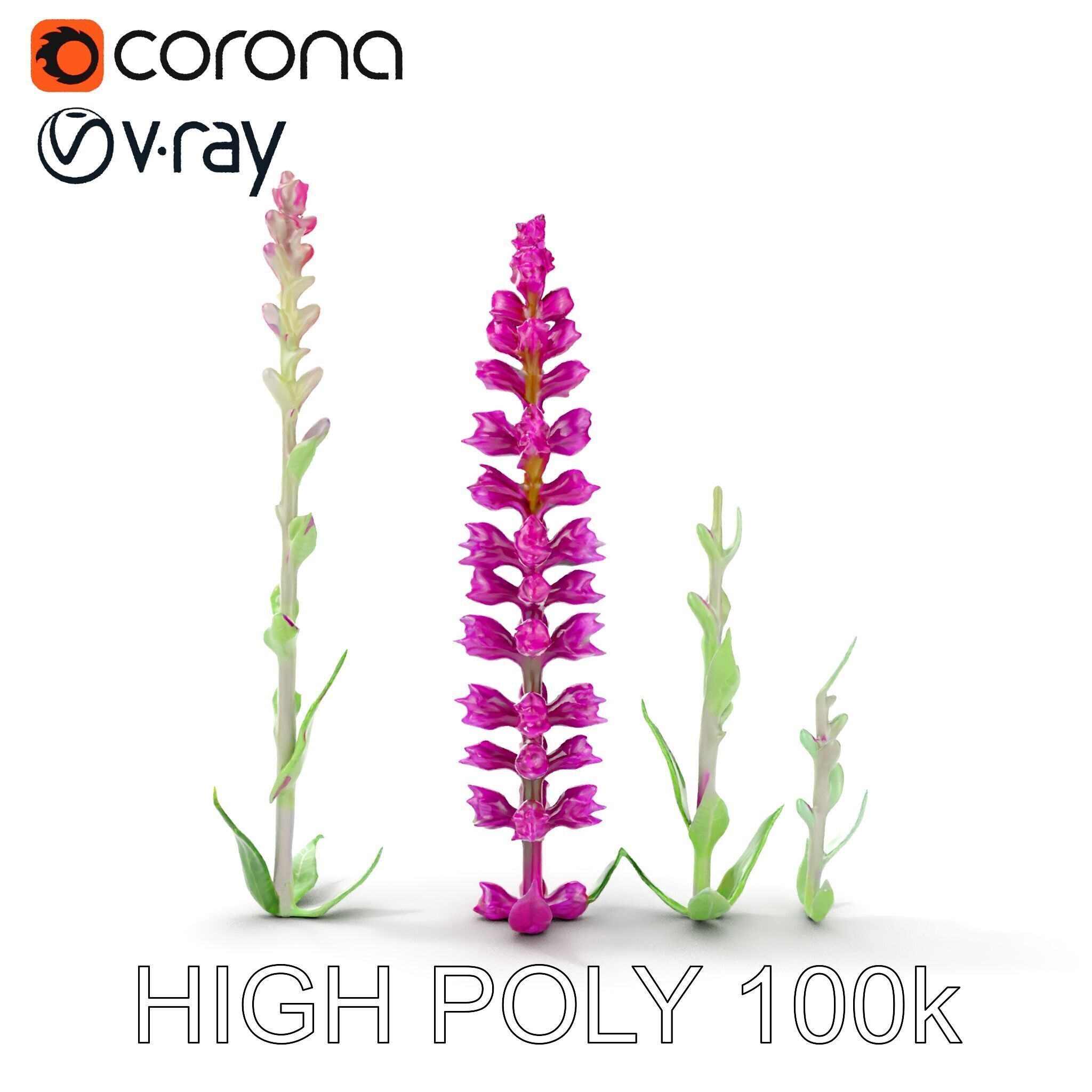 Vibrant Pink Flower Model Pack for D Environments and Games Low-poly 3D model_16