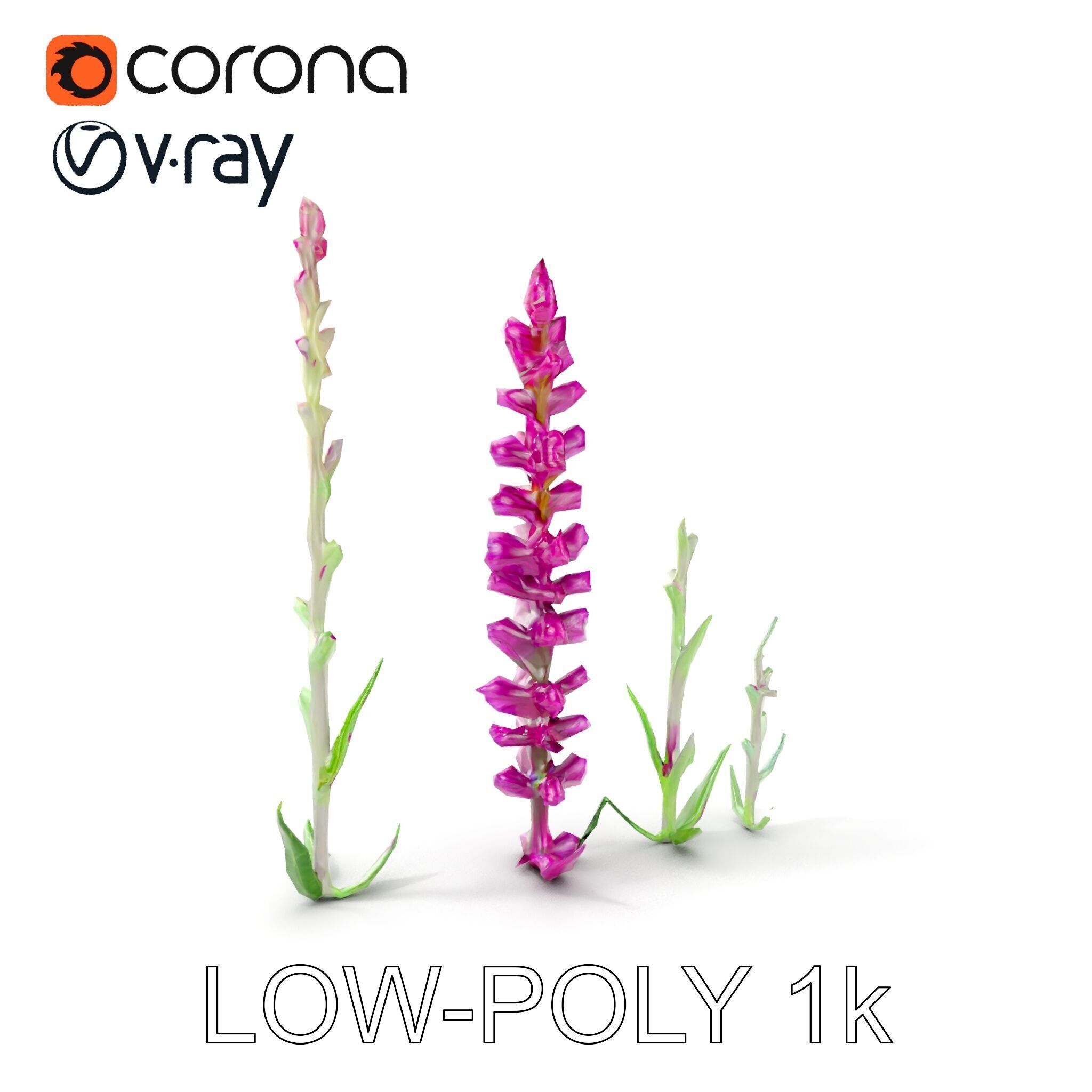 Vibrant Pink Flower Model Pack for D Environments and Games Low-poly 3D model_8