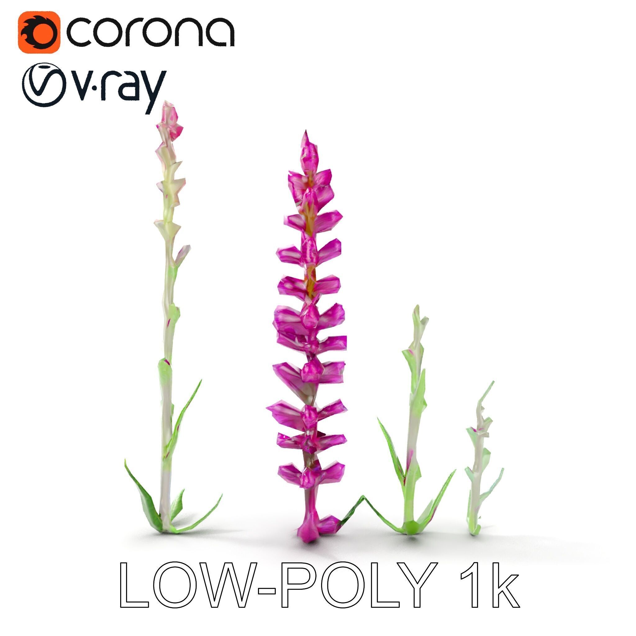 Vibrant Pink Flower Model Pack for D Environments and Games Low-poly 3D model_10
