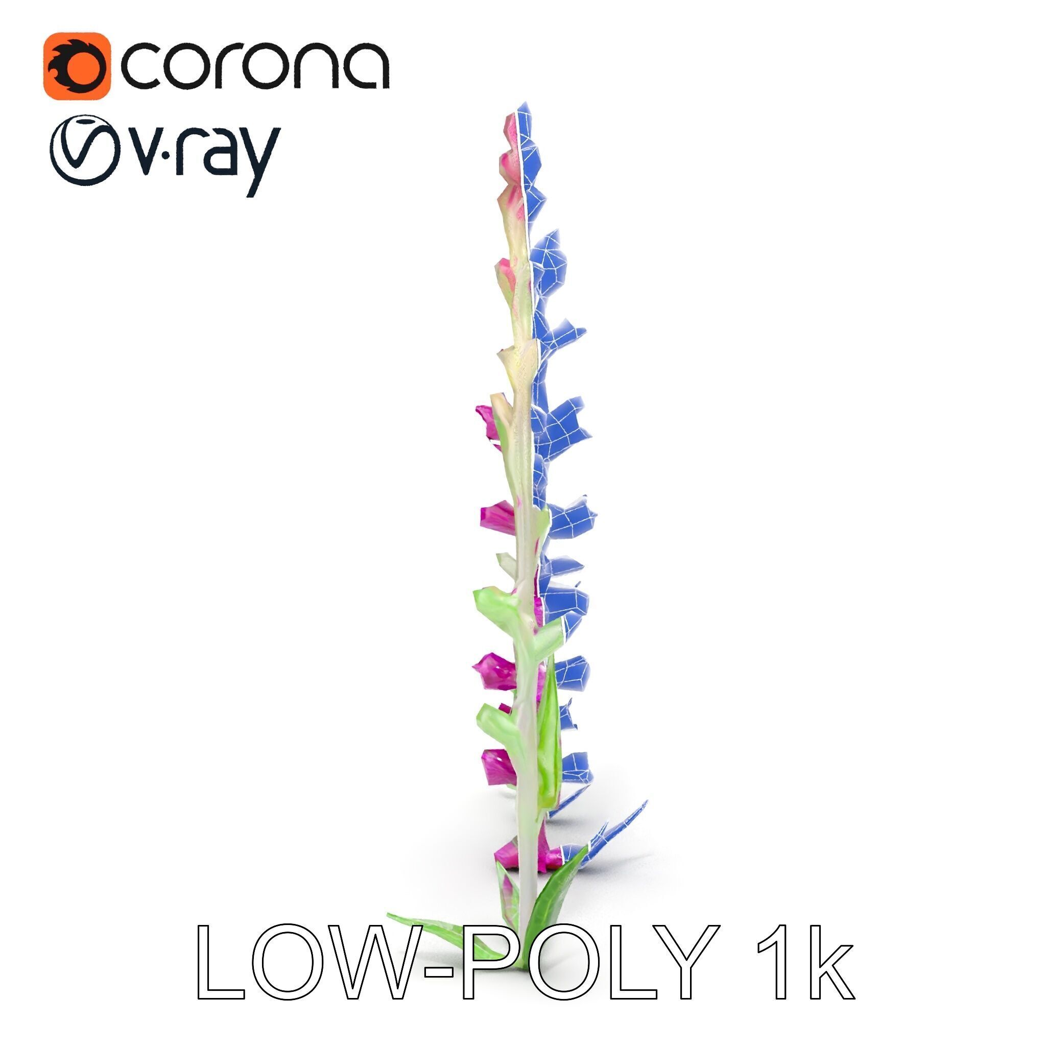 Vibrant Pink Flower Model Pack for D Environments and Games Low-poly 3D model_26