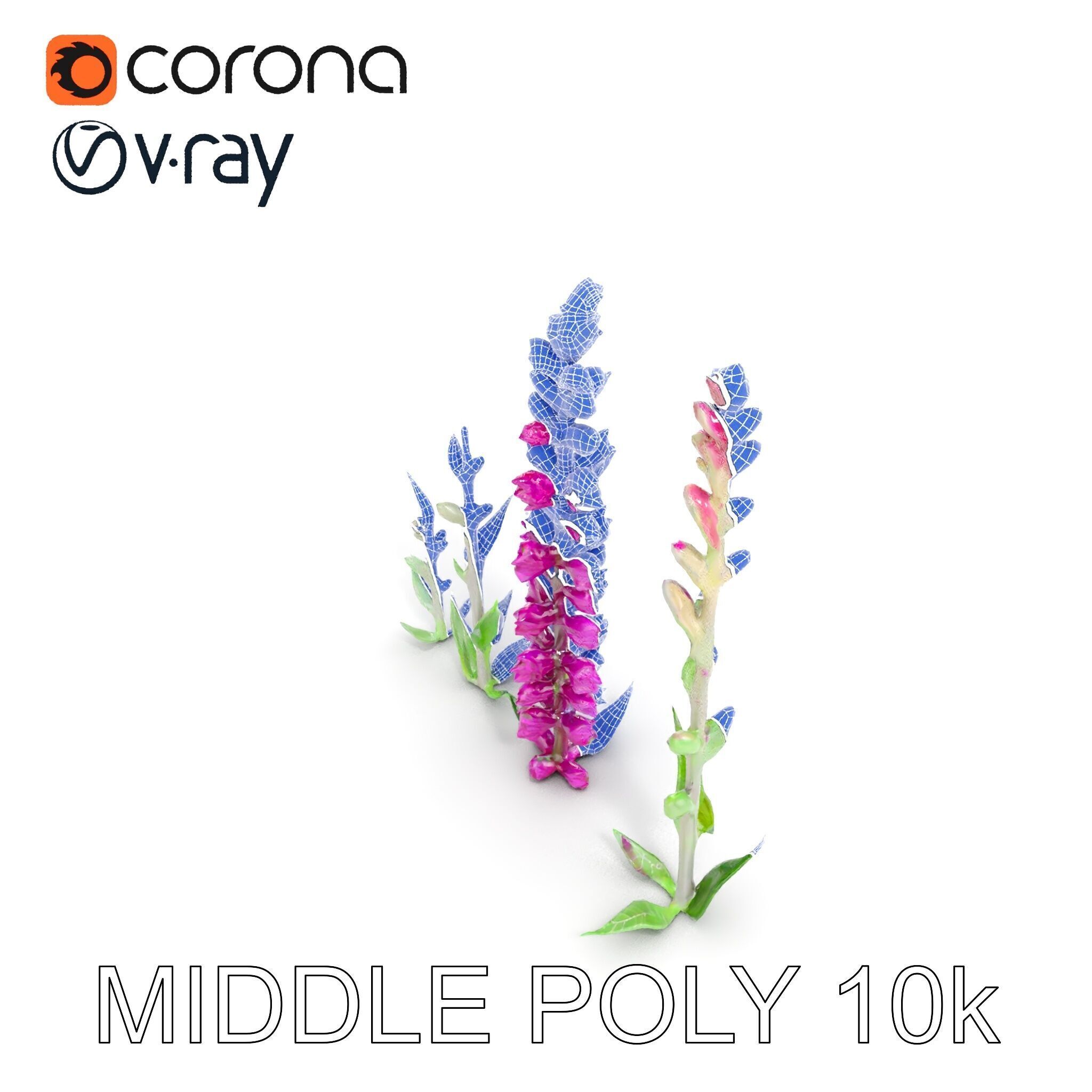 Vibrant Pink Flower Model Pack for D Environments and Games Low-poly 3D model_17