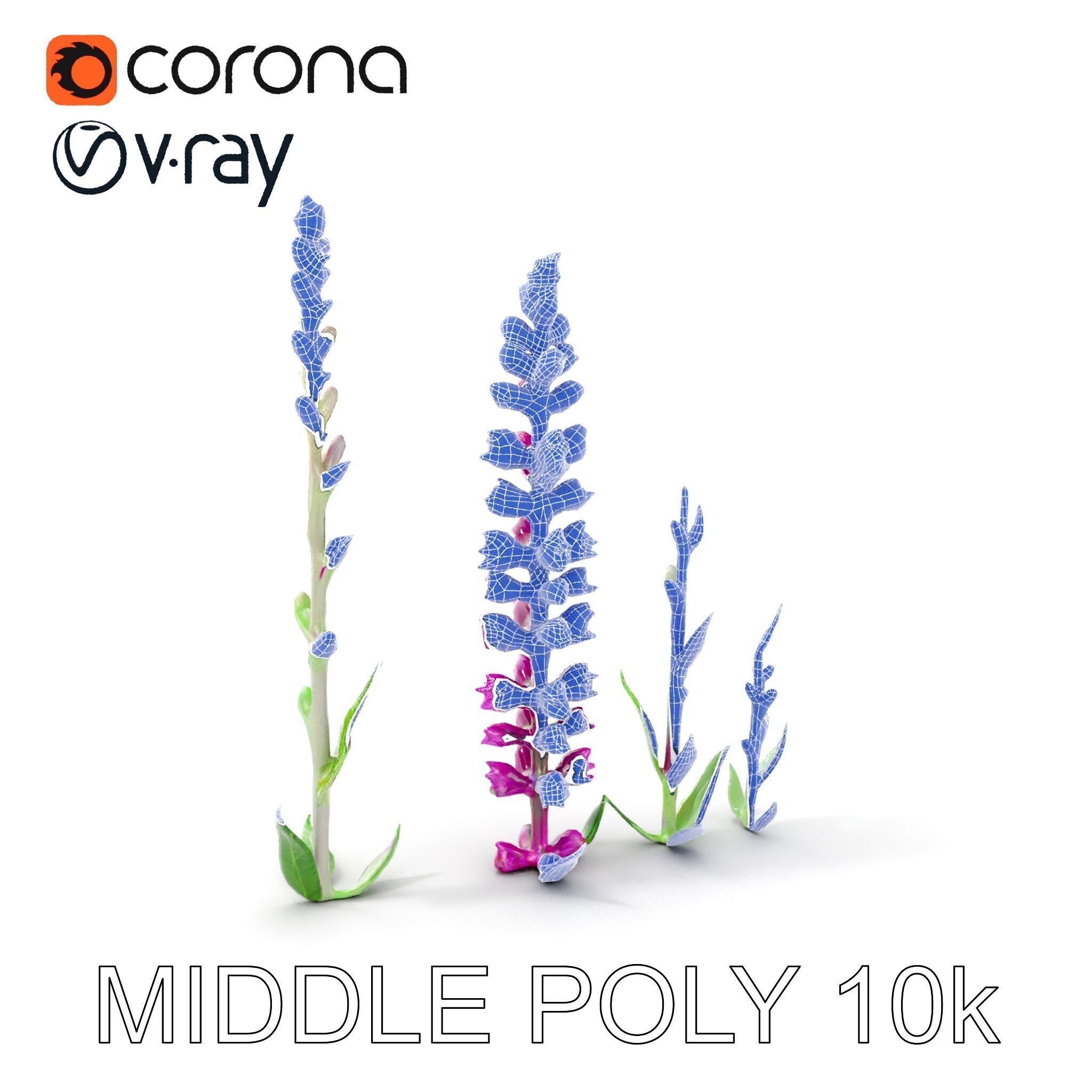 Vibrant Pink Flower Model Pack for D Environments and Games Low-poly 3D model_25