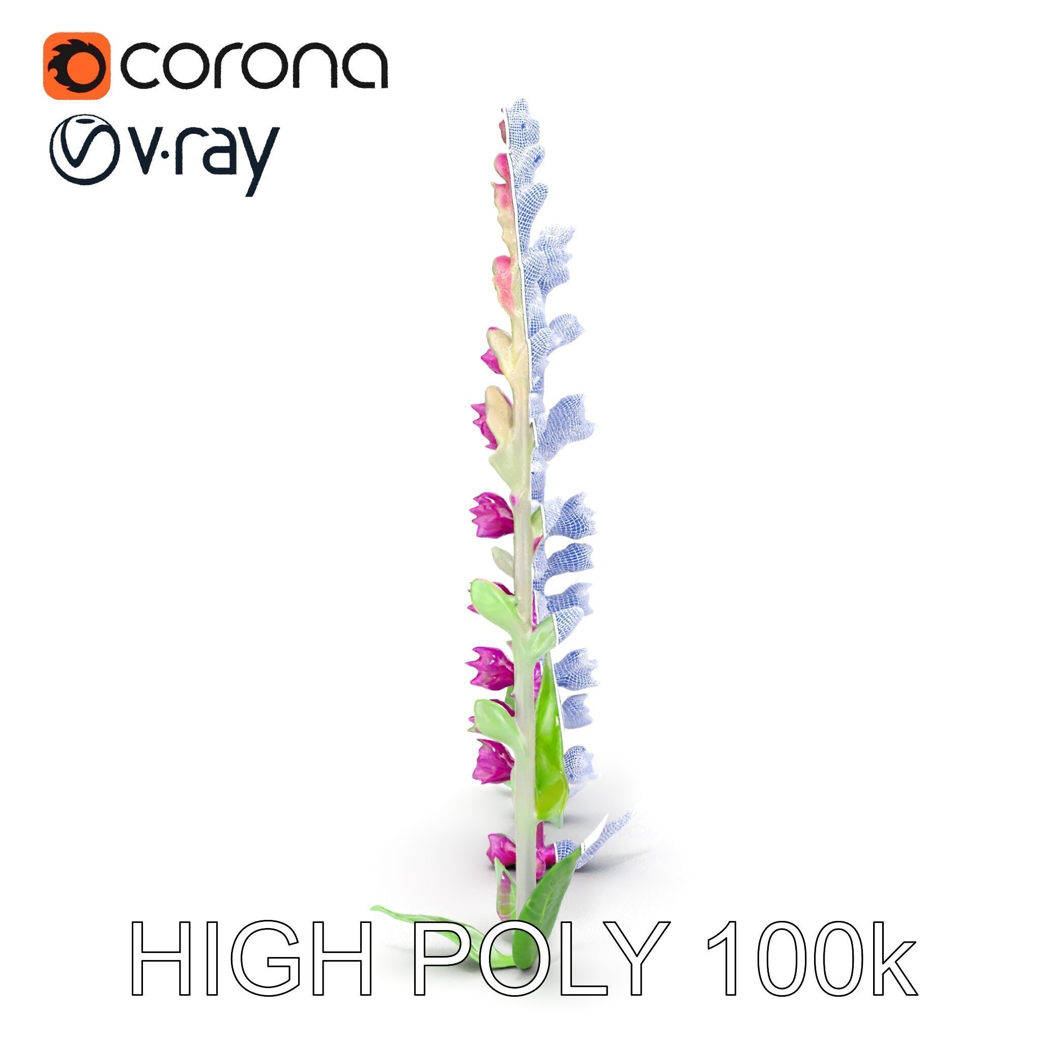 Vibrant Pink Flower Model Pack for D Environments and Games Low-poly 3D model_33