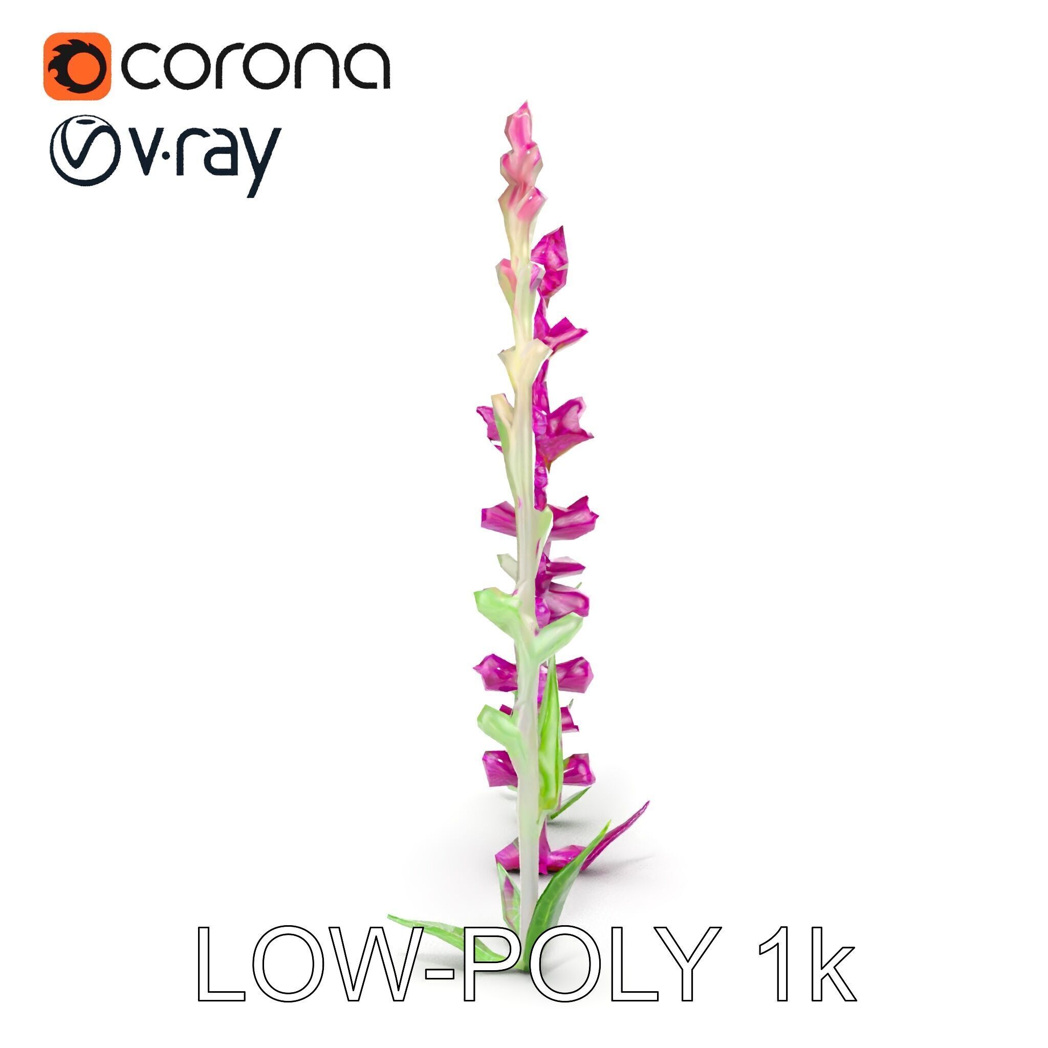 Vibrant Pink Flower Model Pack for D Environments and Games Low-poly 3D model_18