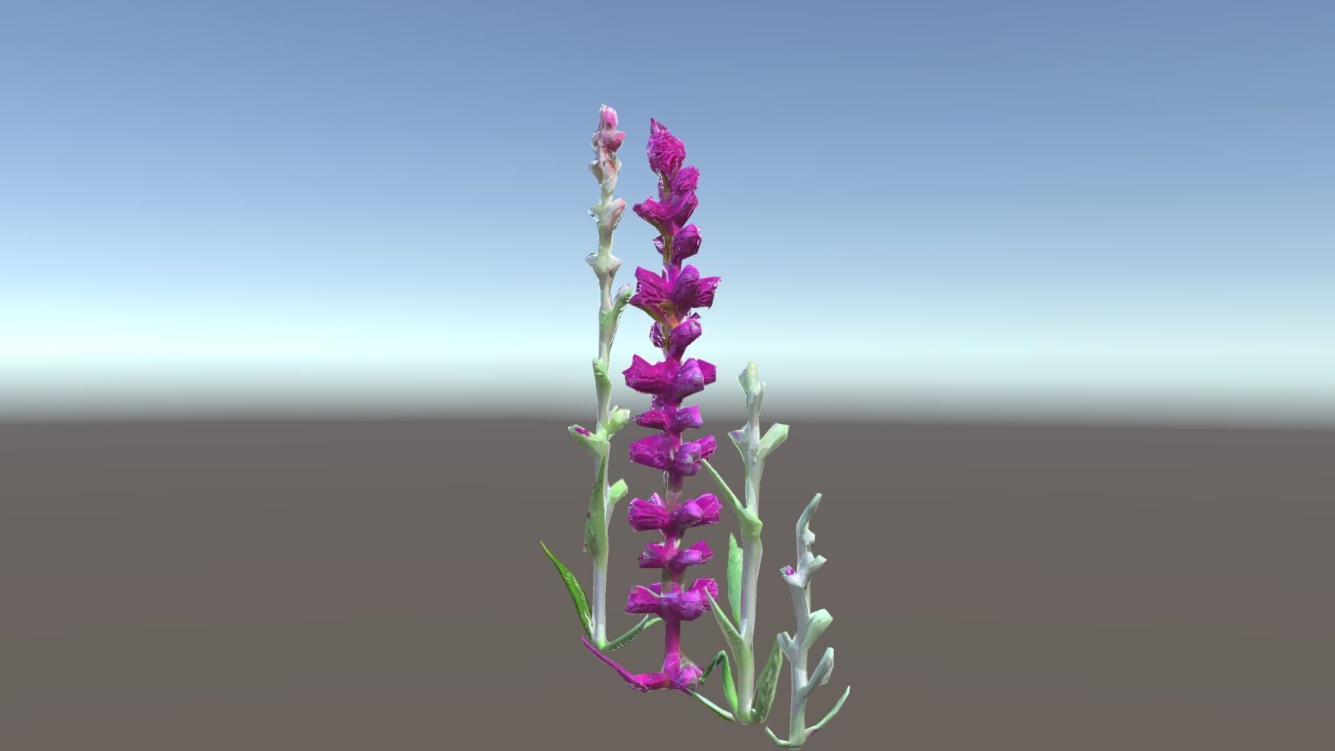 Vibrant Pink Flower Model Pack for D Environments and Games Low-poly 3D model_35