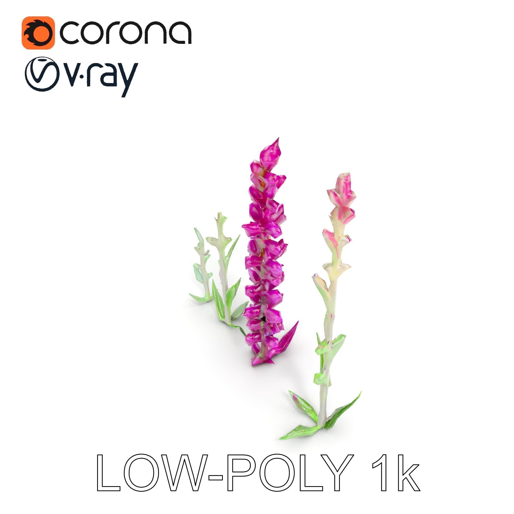 Vibrant Pink Flower Model Pack for D Environments and Games Low-poly 3D model_24