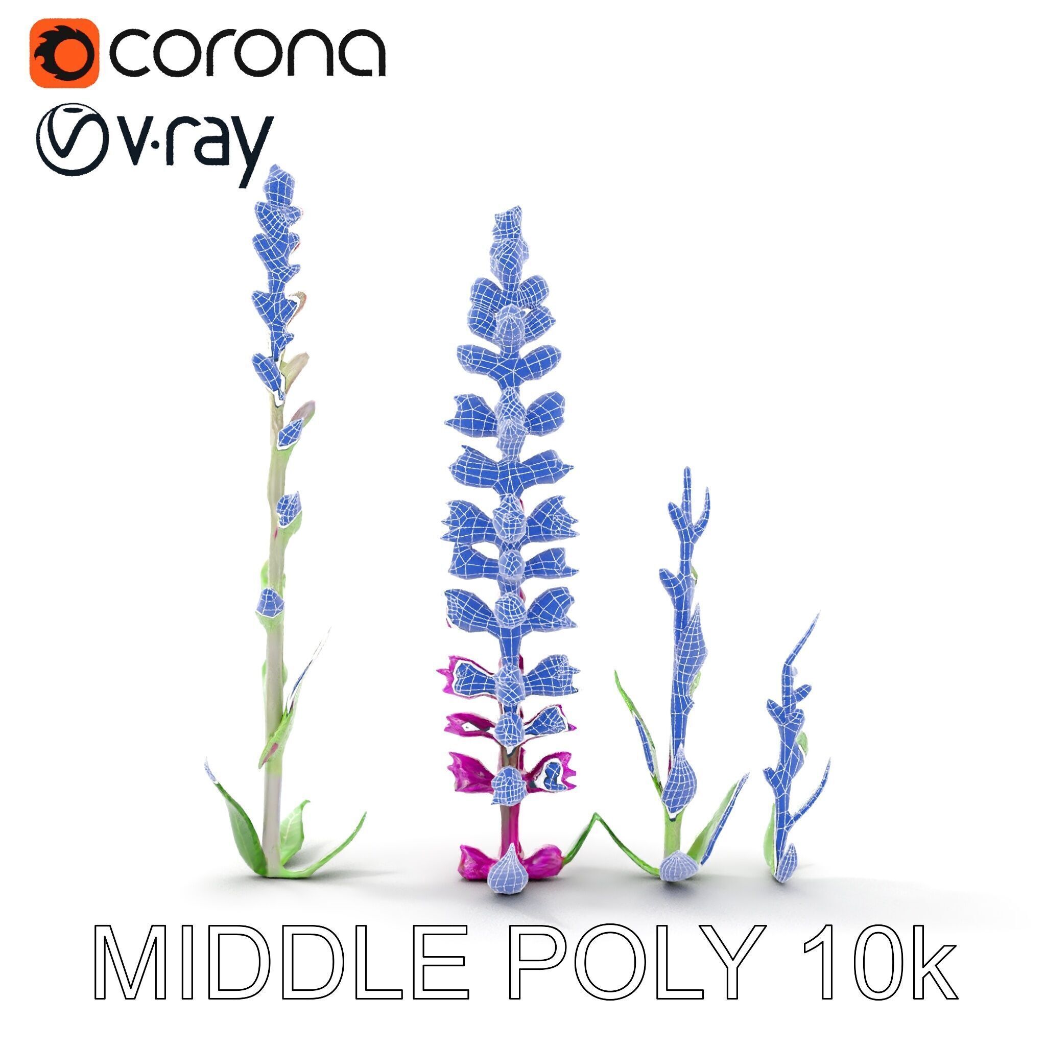Vibrant Pink Flower Model Pack for D Environments and Games Low-poly 3D model_28