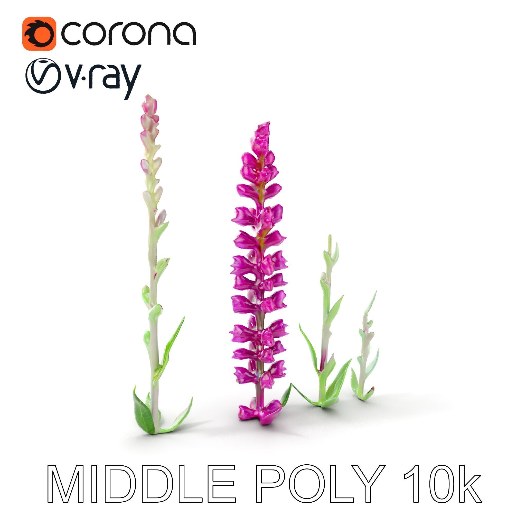 Vibrant Pink Flower Model Pack for D Environments and Games Low-poly 3D model_7