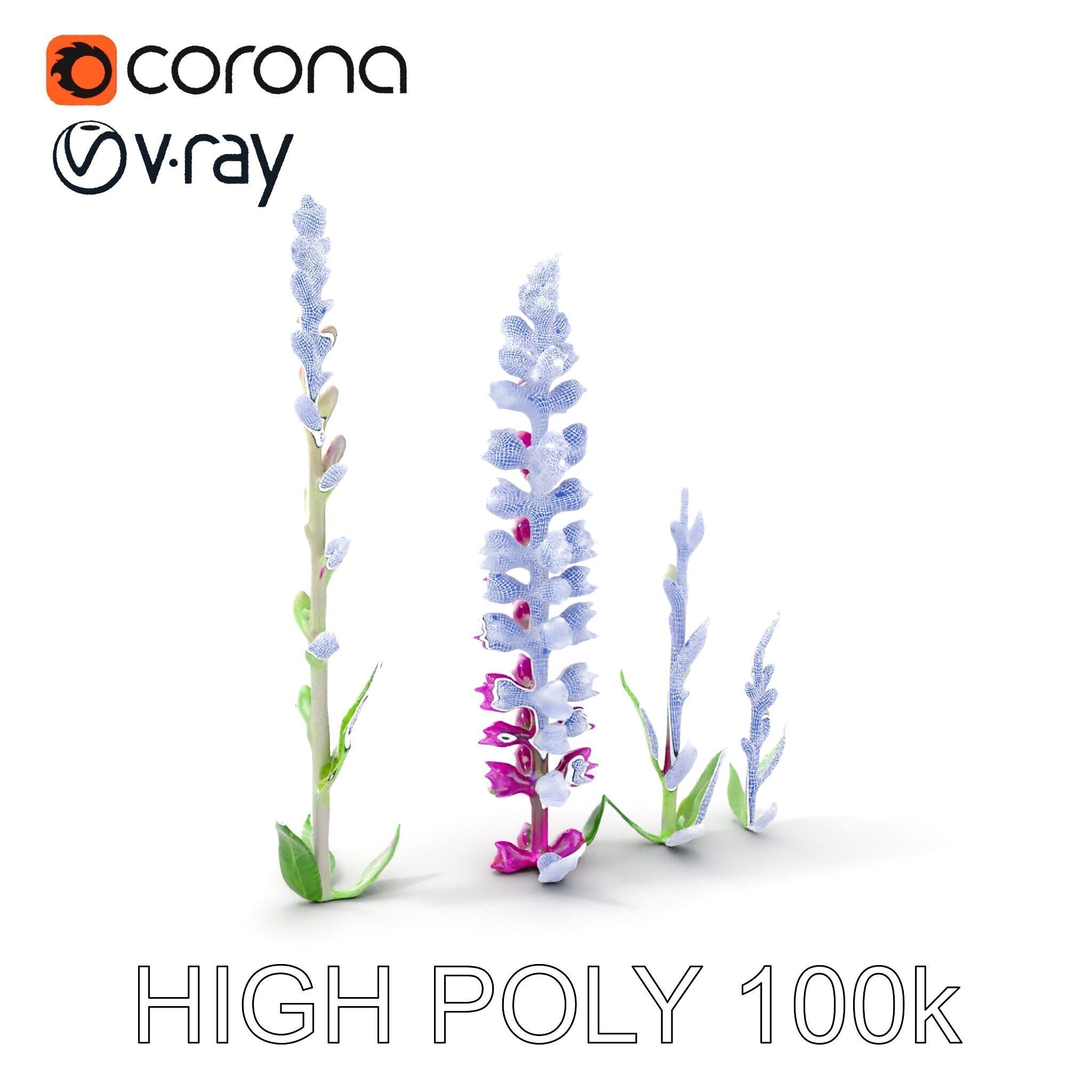 Vibrant Pink Flower Model Pack for D Environments and Games Low-poly 3D model_5