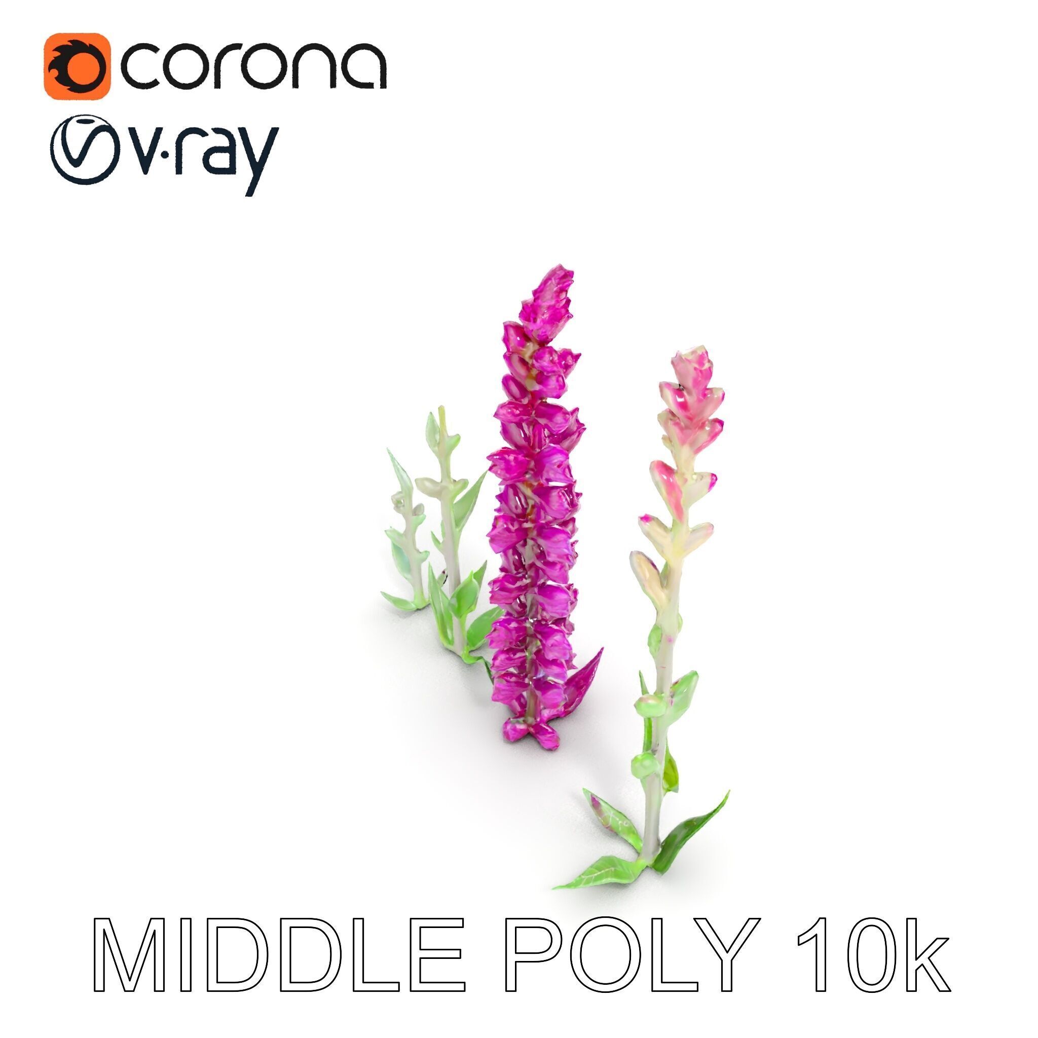Vibrant Pink Flower Model Pack for D Environments and Games Low-poly 3D model_23