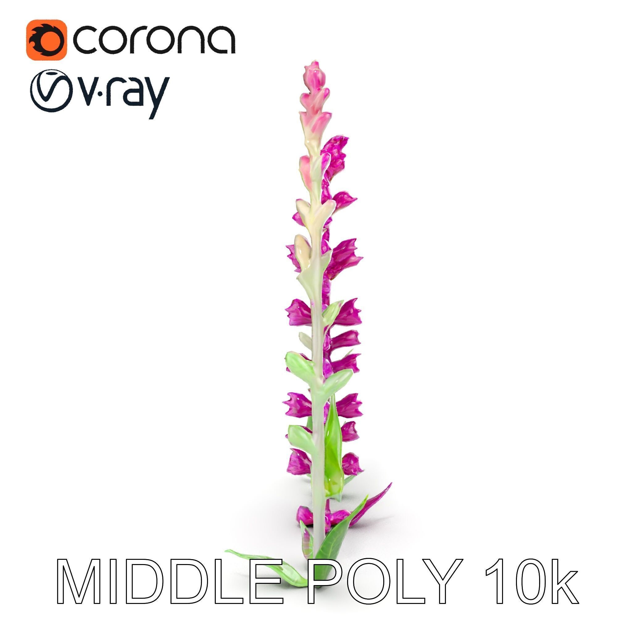 Vibrant Pink Flower Model Pack for D Environments and Games Low-poly 3D model_20