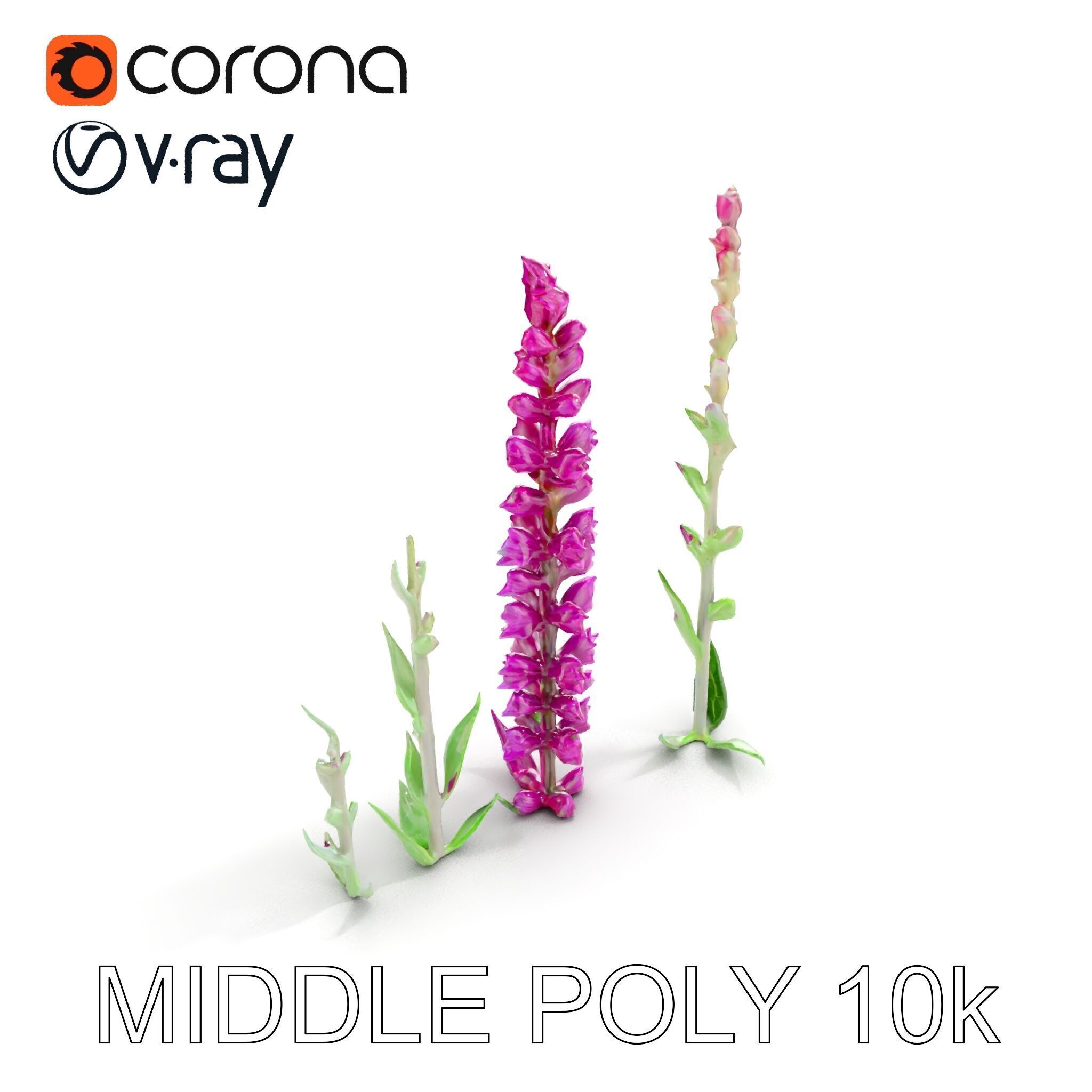 Vibrant Pink Flower Model Pack for D Environments and Games Low-poly 3D model_9