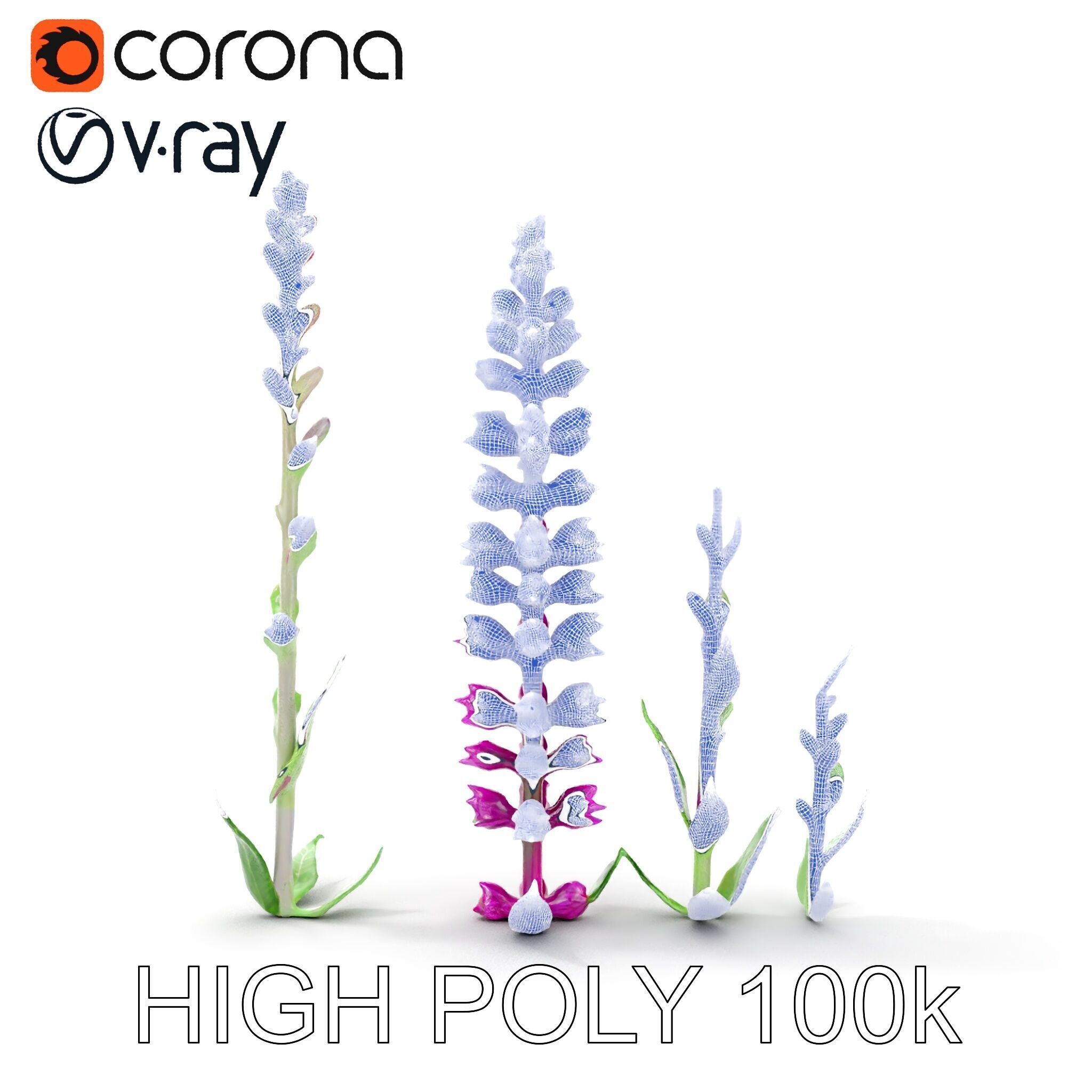 Vibrant Pink Flower Model Pack for D Environments and Games Low-poly 3D model_36