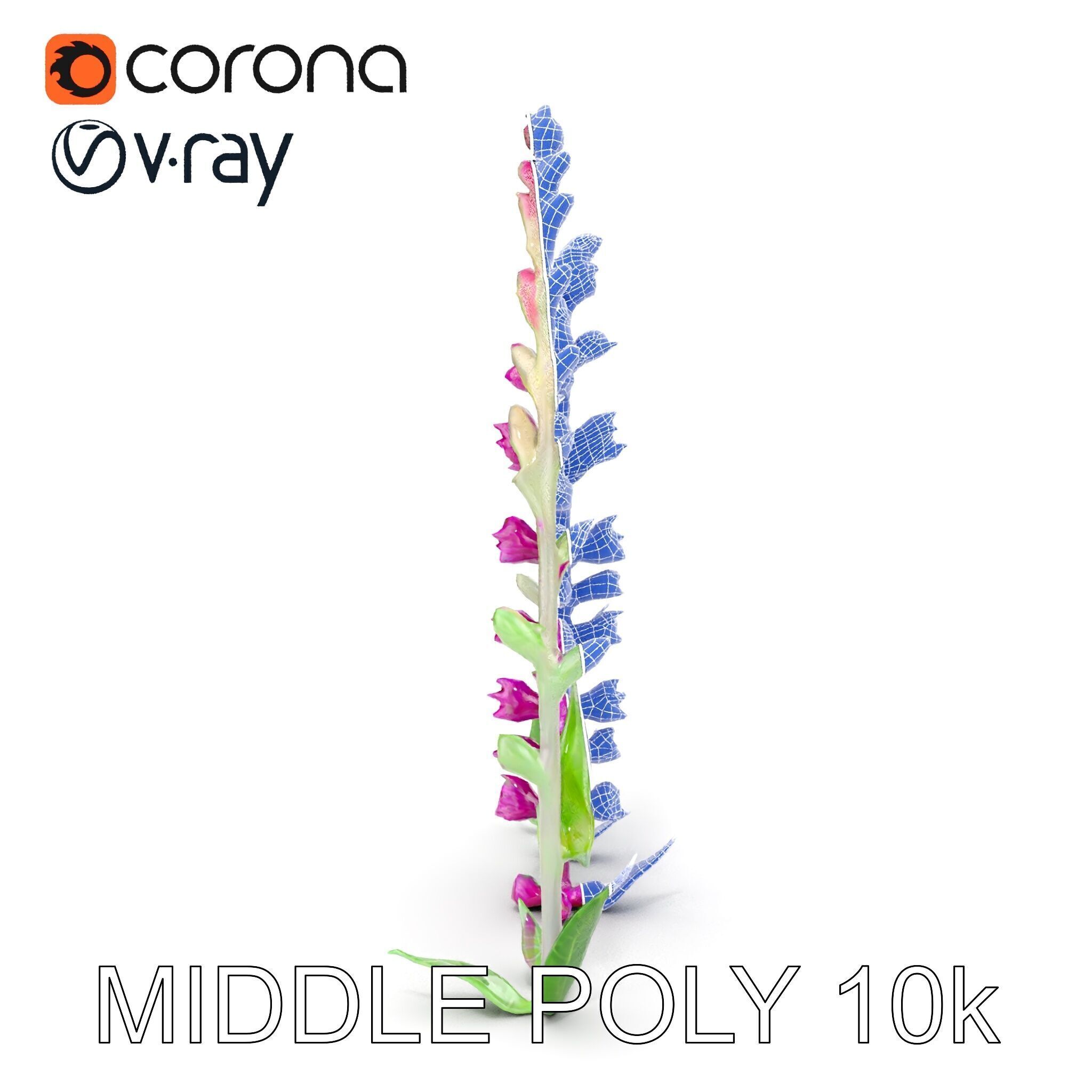 Vibrant Pink Flower Model Pack for D Environments and Games Low-poly 3D model_31
