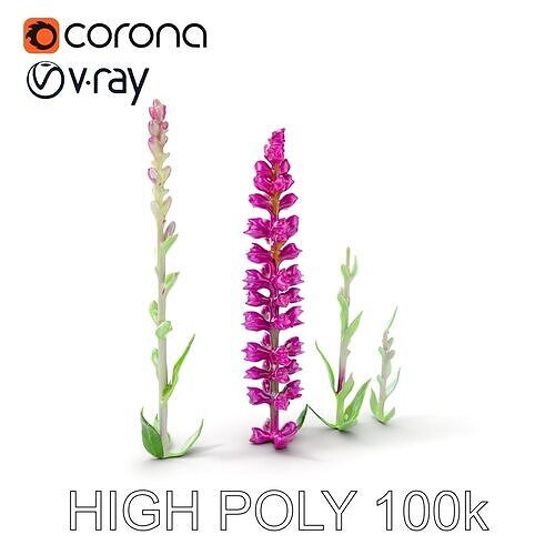 Vibrant Pink Flower Model Pack for D Environments and Games Low-poly 3D model