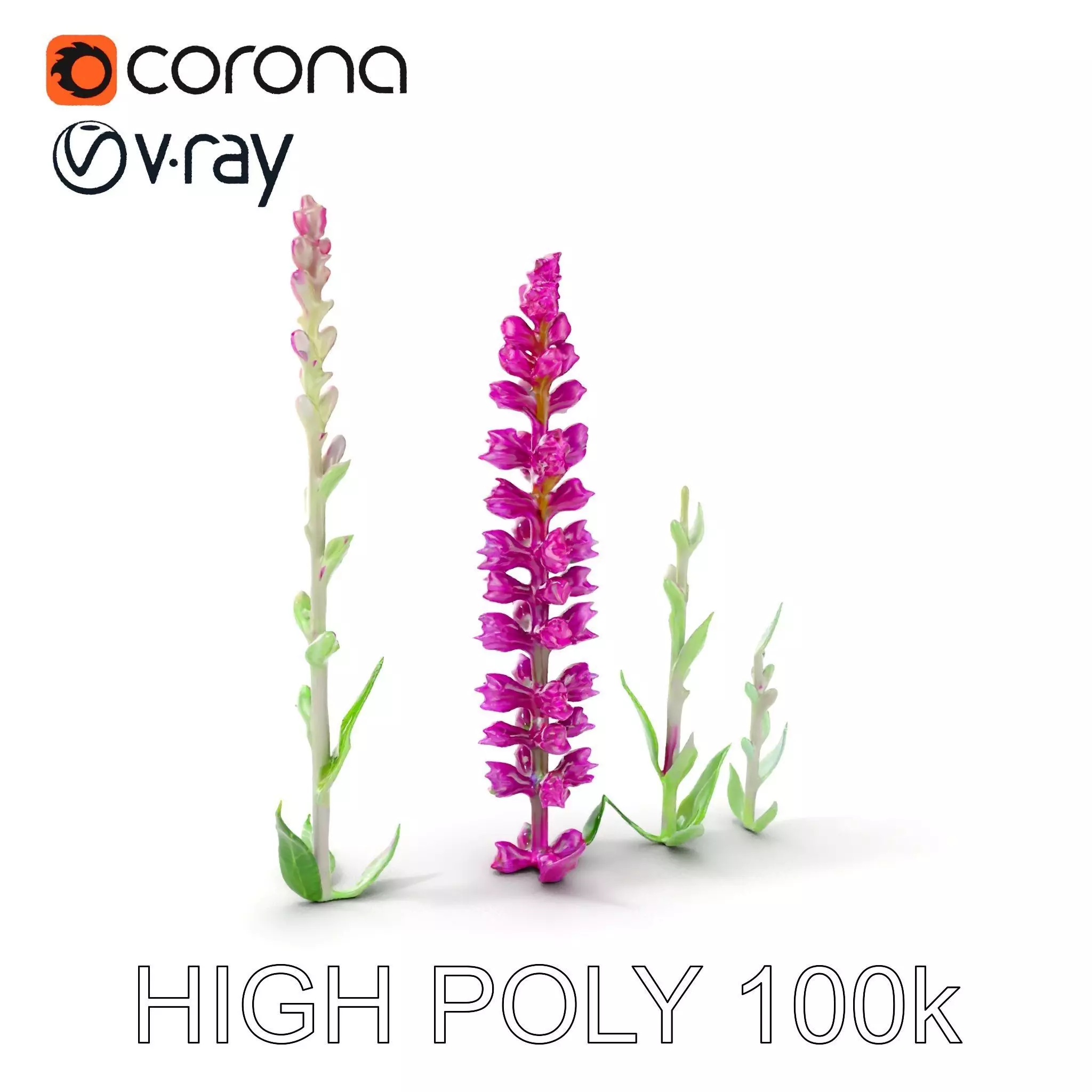 Vibrant Pink Flower Model Pack for D Environments and Games Low-poly 3D model_0