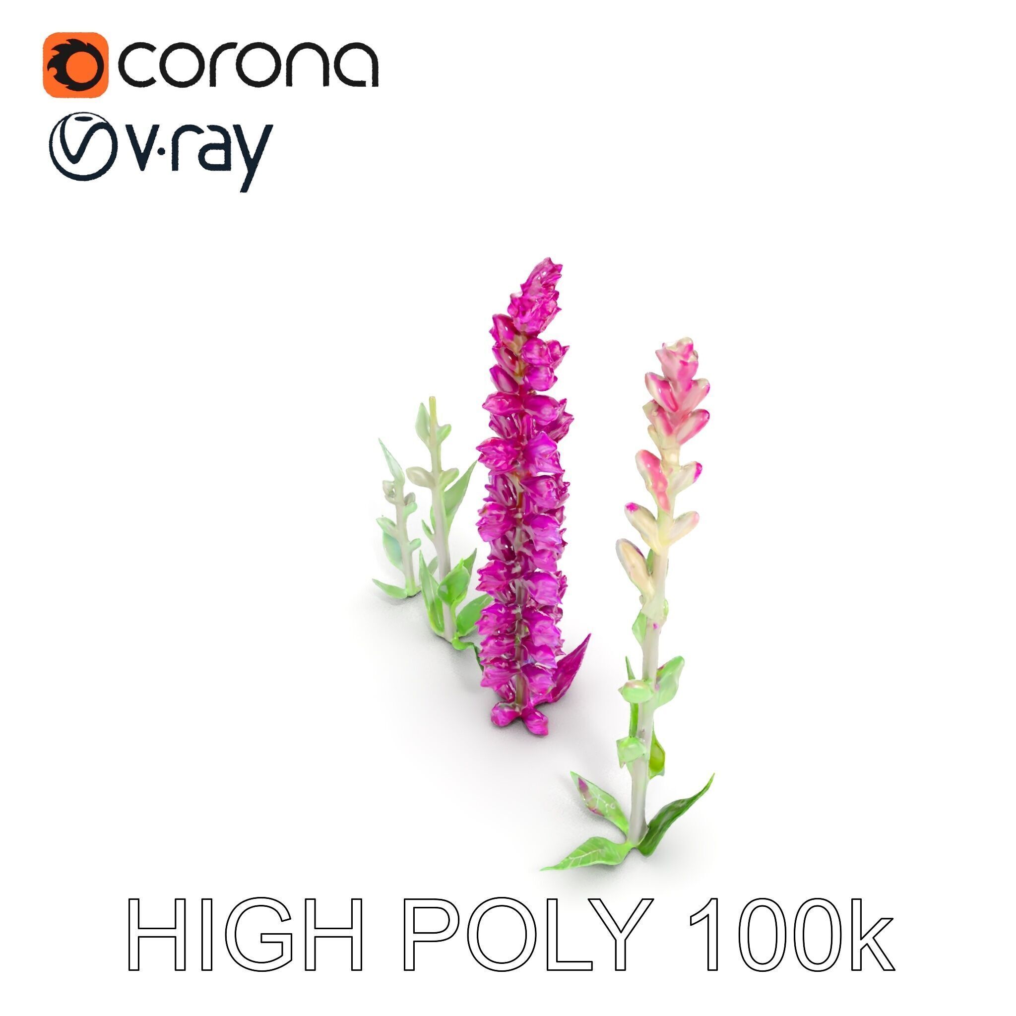Vibrant Pink Flower Model Pack for D Environments and Games Low-poly 3D model_19