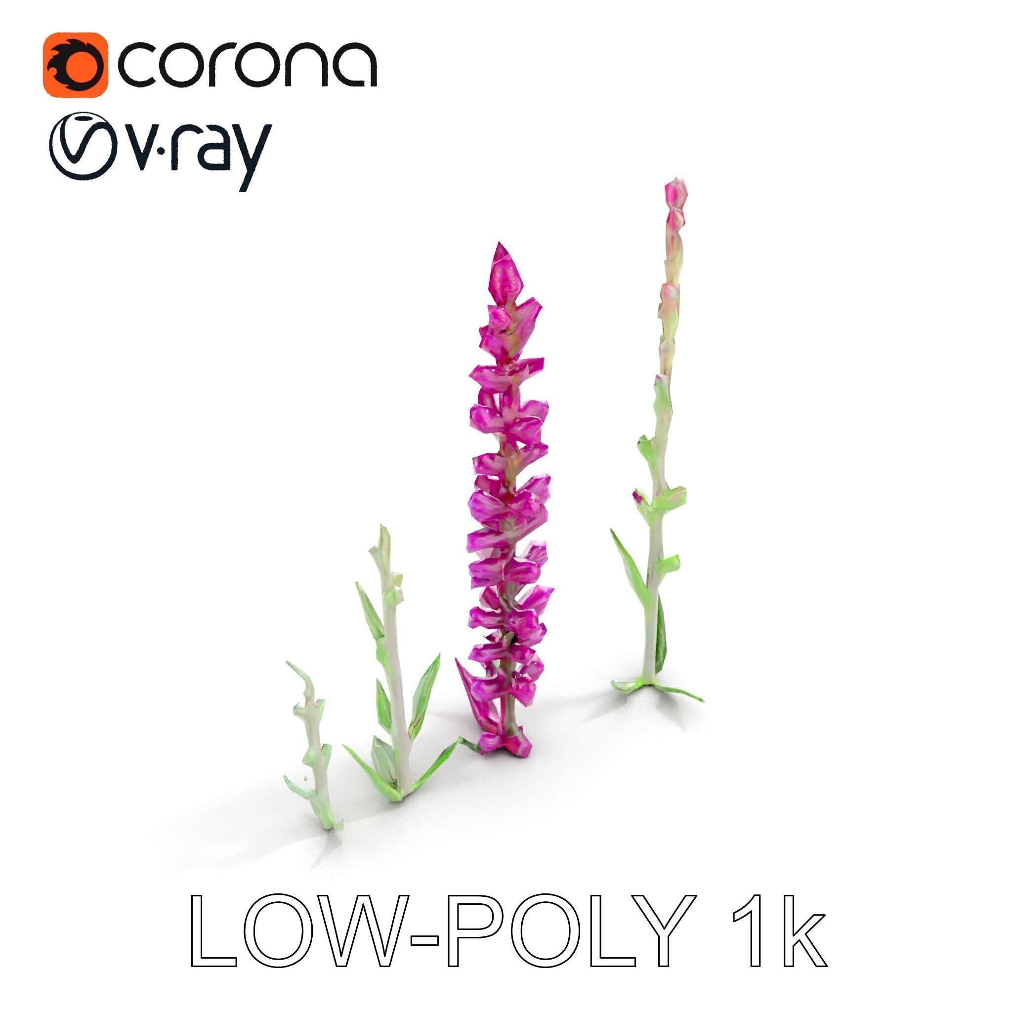 Vibrant Pink Flower Model Pack for D Environments and Games Low-poly 3D model_12