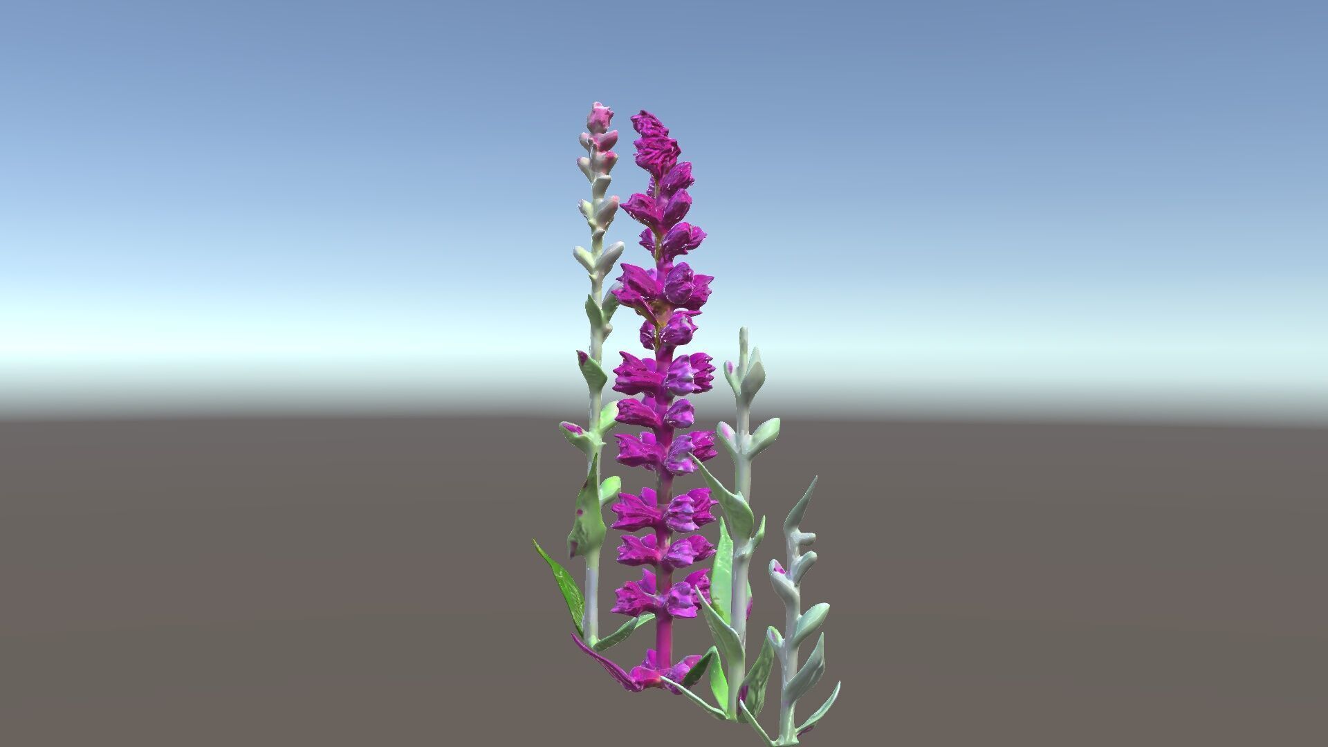 Vibrant Pink Flower Model Pack for D Environments and Games Low-poly 3D model_6