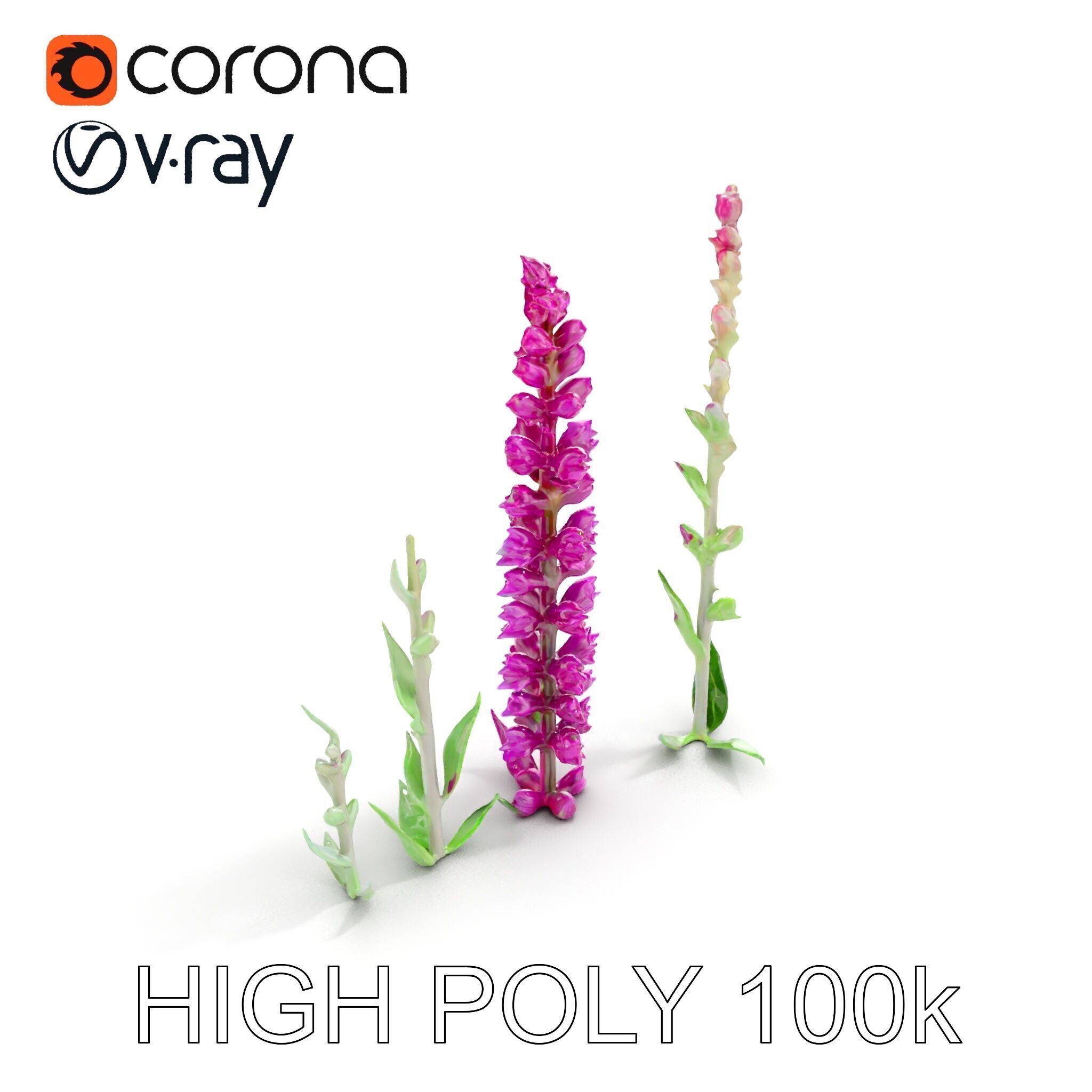 Vibrant Pink Flower Model Pack for D Environments and Games Low-poly 3D model_22