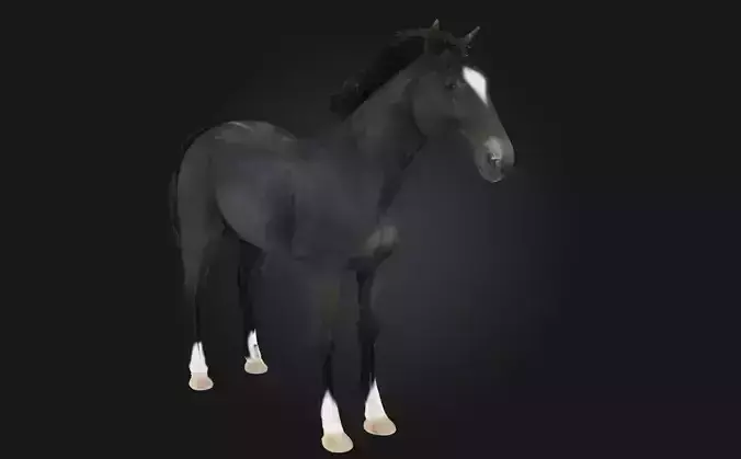 Midnight Elegance  Radiant Sophistication in the Depth of Night