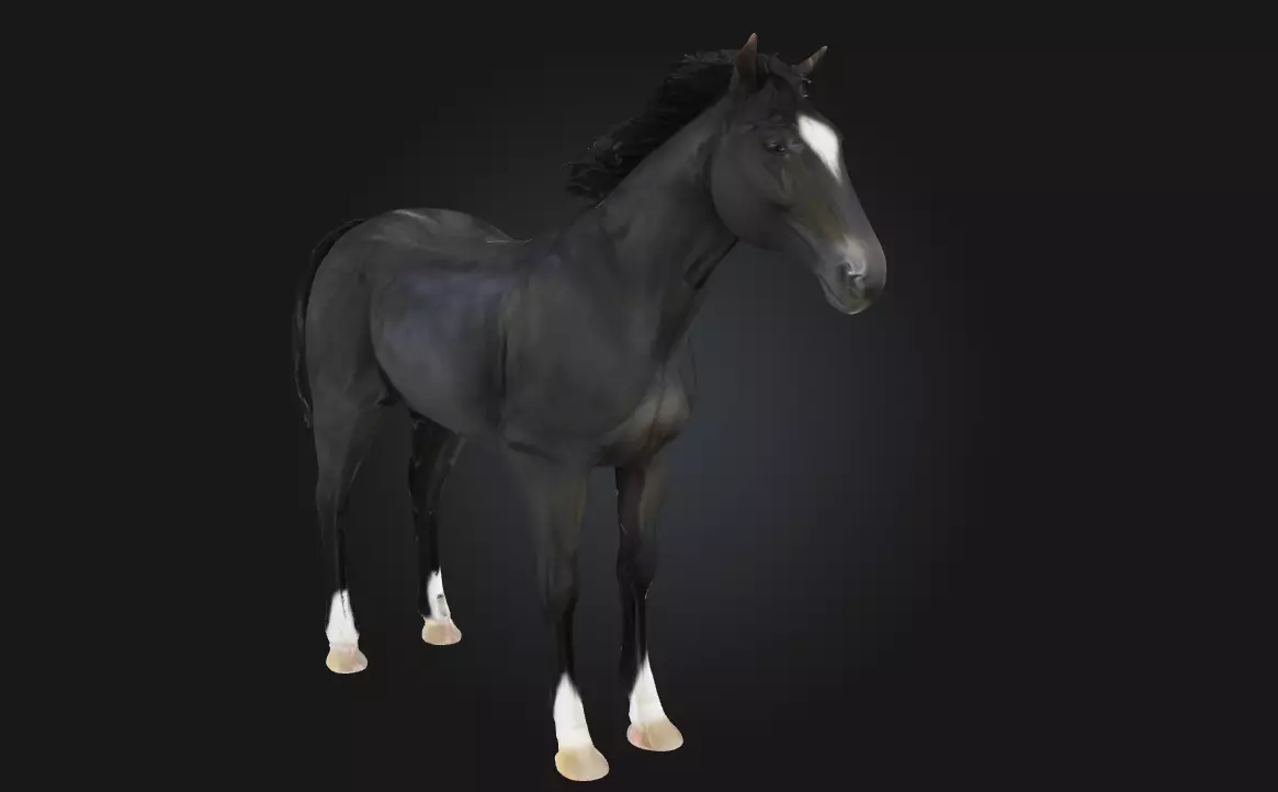 Midnight Elegance Radiant Sophistication in the Depth of Night 3D model_0