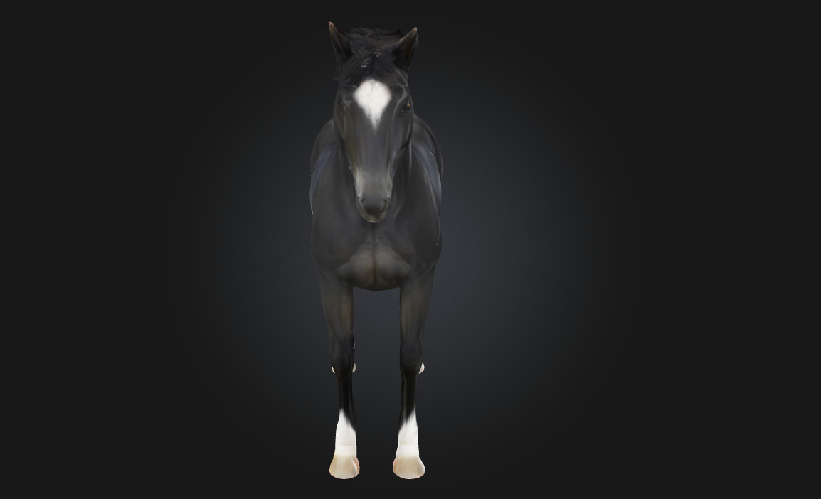 Midnight Elegance Radiant Sophistication in the Depth of Night 3D model_5