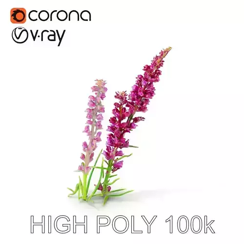 Vibrant Purple Flower Model Pack Low-poly 3D model