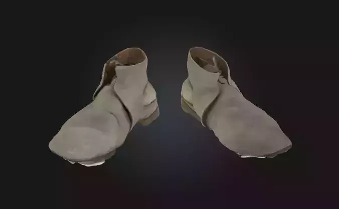 Worn Wanderers  Footsteps Etched in Time