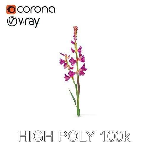 Purple Wildflower Model Pack for Nature Scenes Low-poly 3D model